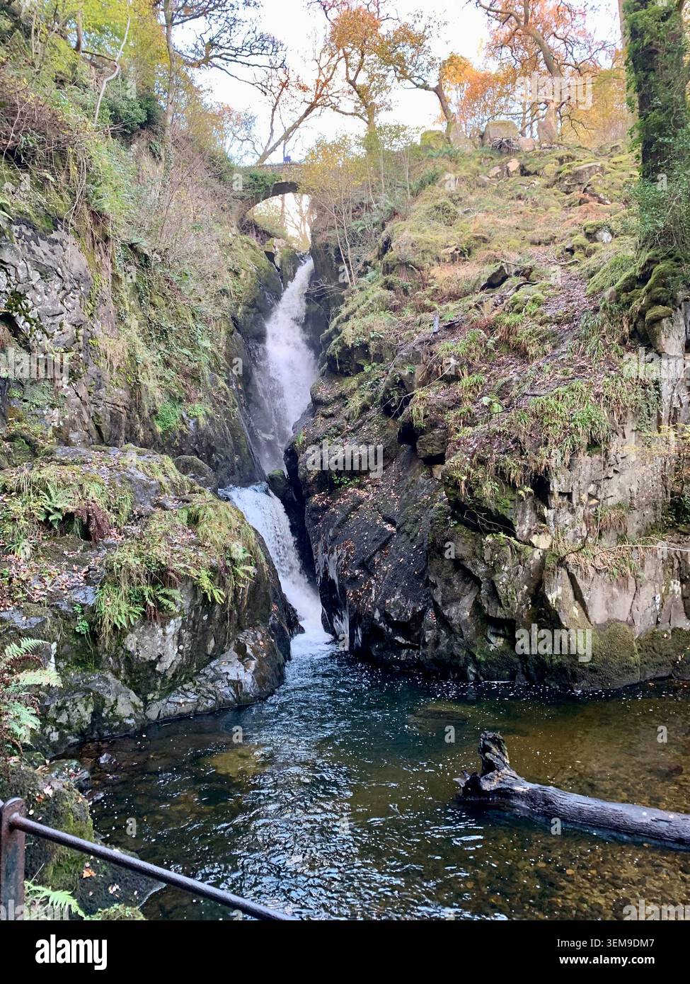 Aira Force cascata Foto Stock