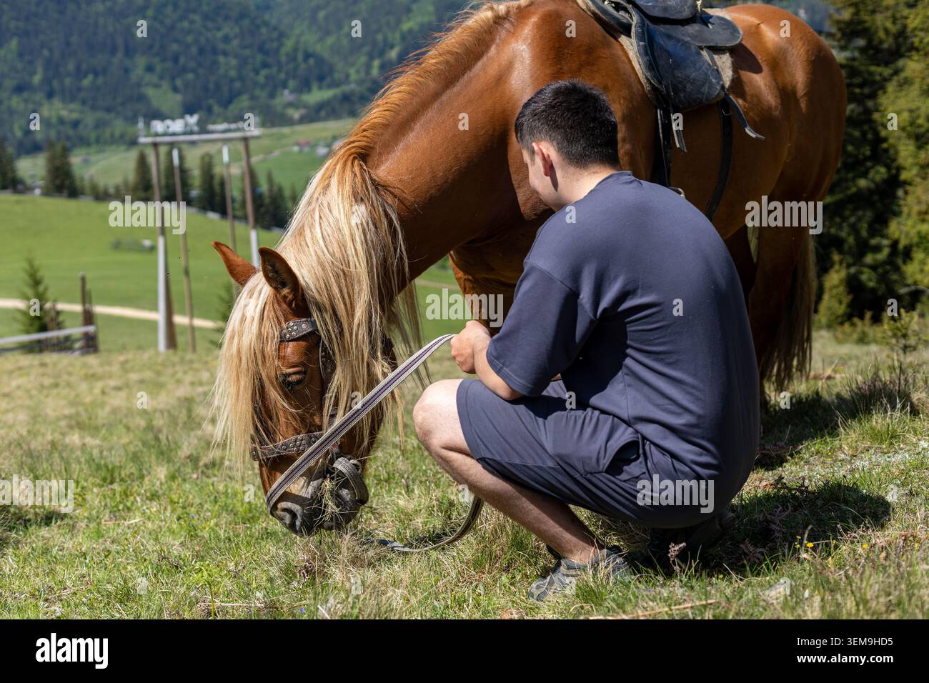 Uomo che riposa accanto al cavallo sellato in montagna. Uomo accovacciato accanto a un cavallo bruno sellato pascolando su una collina alpina con verde valle e. Foto Stock