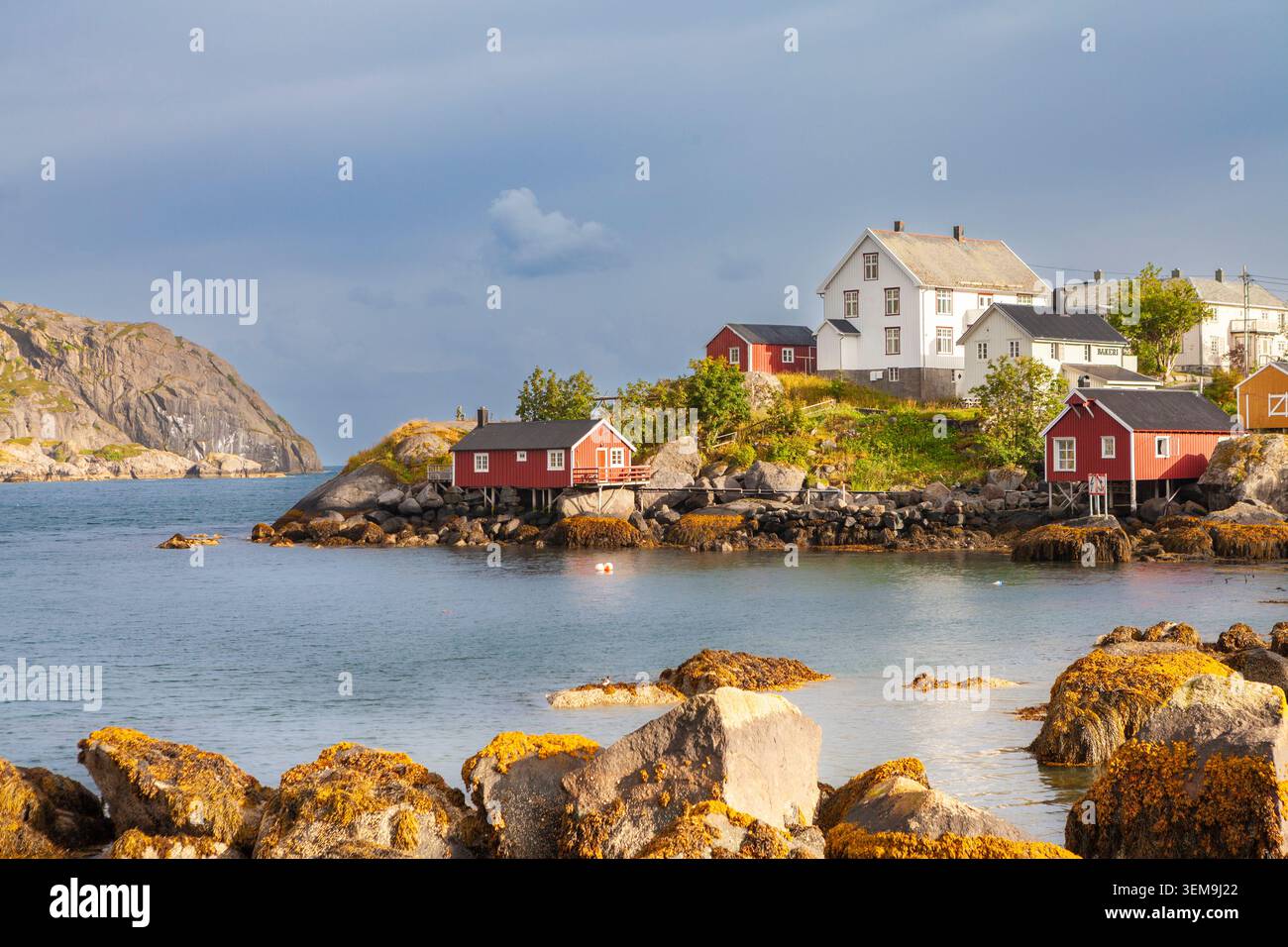 Villaggio di pescatori di Nusfjord, Flakstadøya, Isole Lofoten, Norvegia Foto Stock
