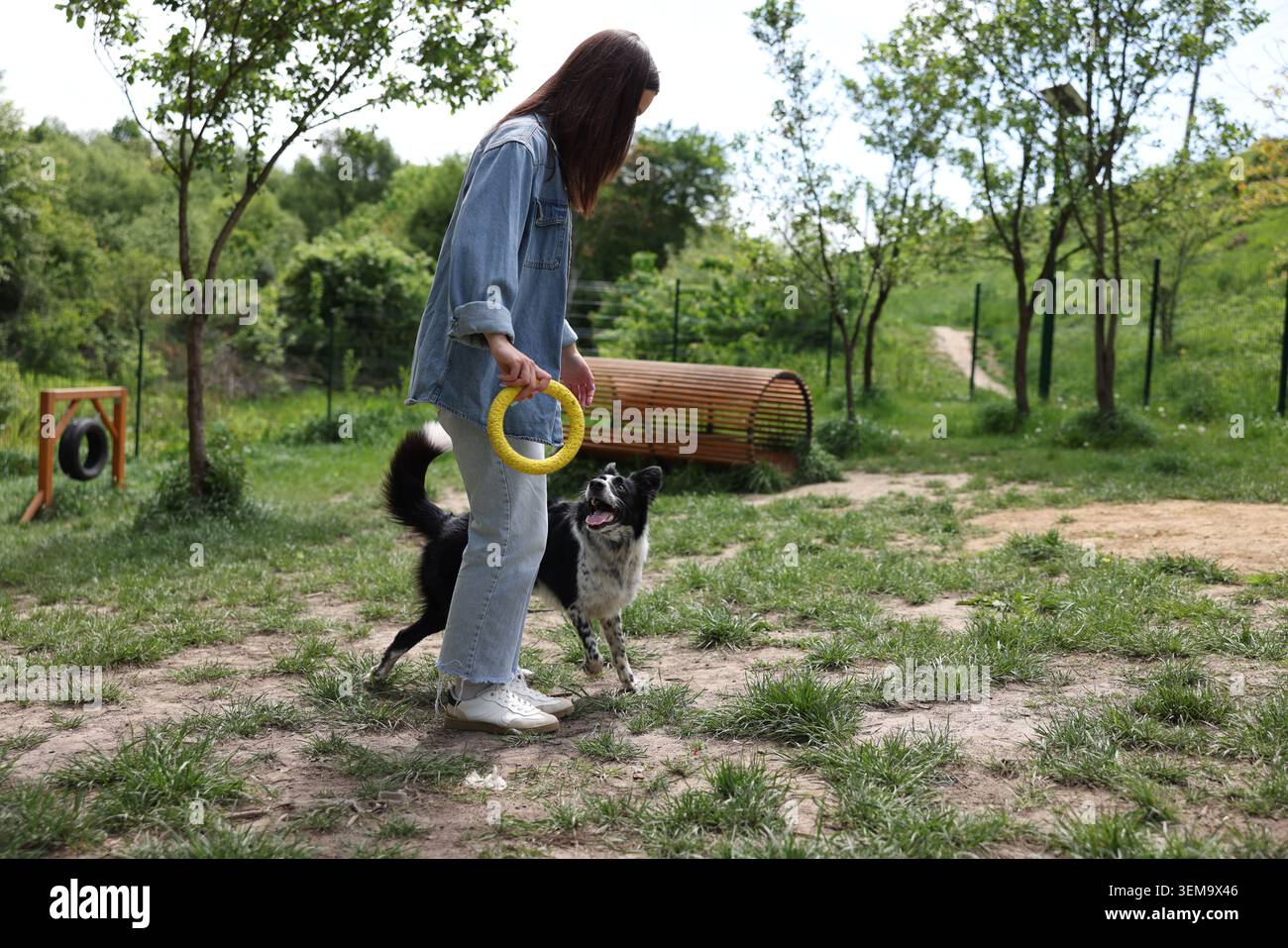 Donna che allena il cane a girarla intorno al parco. Spazio per il testo Foto Stock