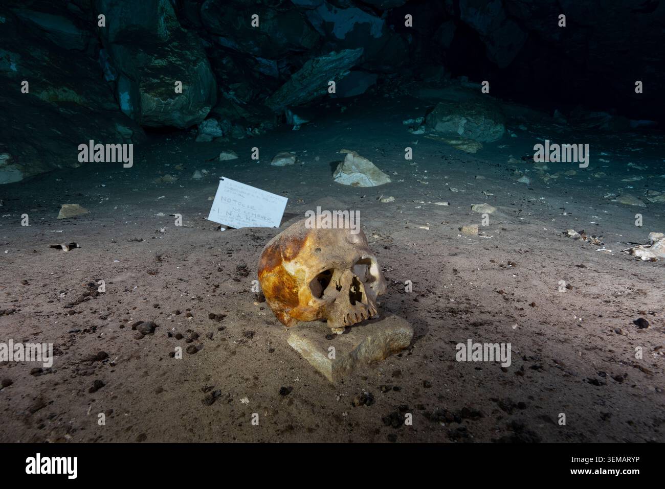 Teschio umano all'interno di un sistema di grotte allagate in un cenote messicano Foto Stock