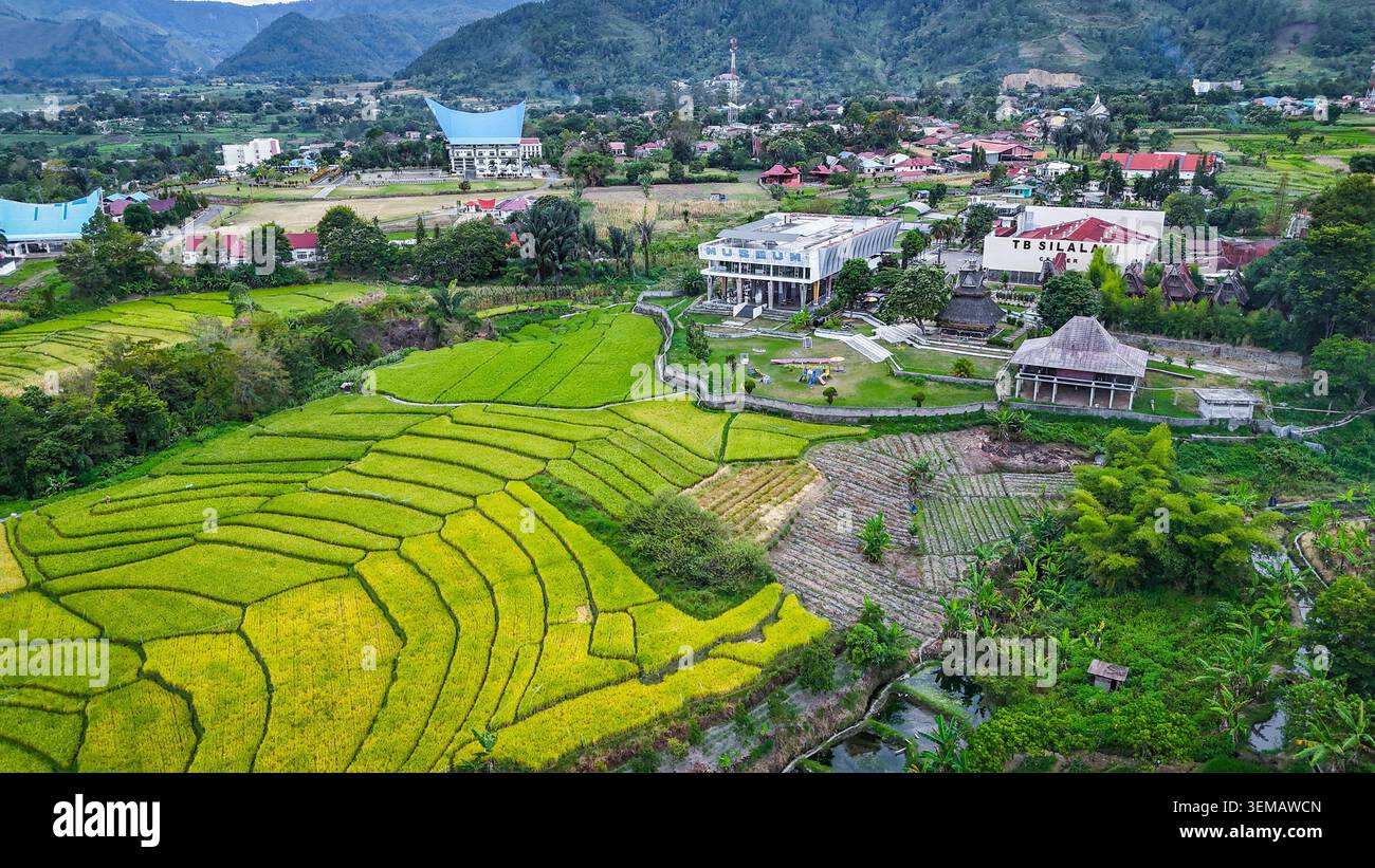 Vista aerea dei campi di riso terrazzati sulle pendici del lago Toba, Sumatra settentrionale Foto Stock