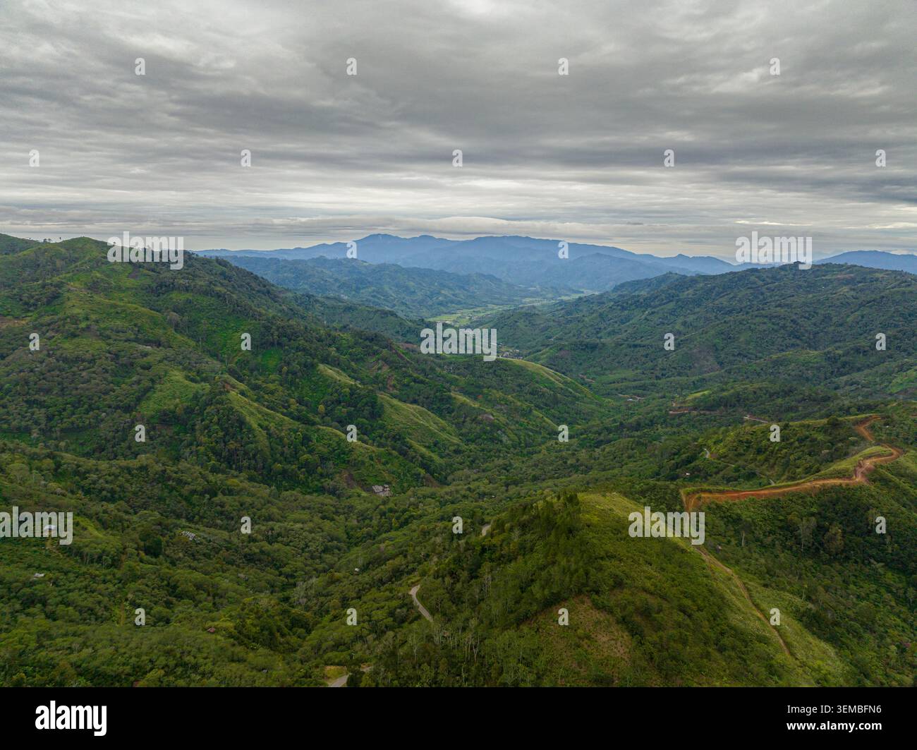Montagne e colline con foresta verde e alberi ai tropici. Sumatra, Indonesia. Foto Stock