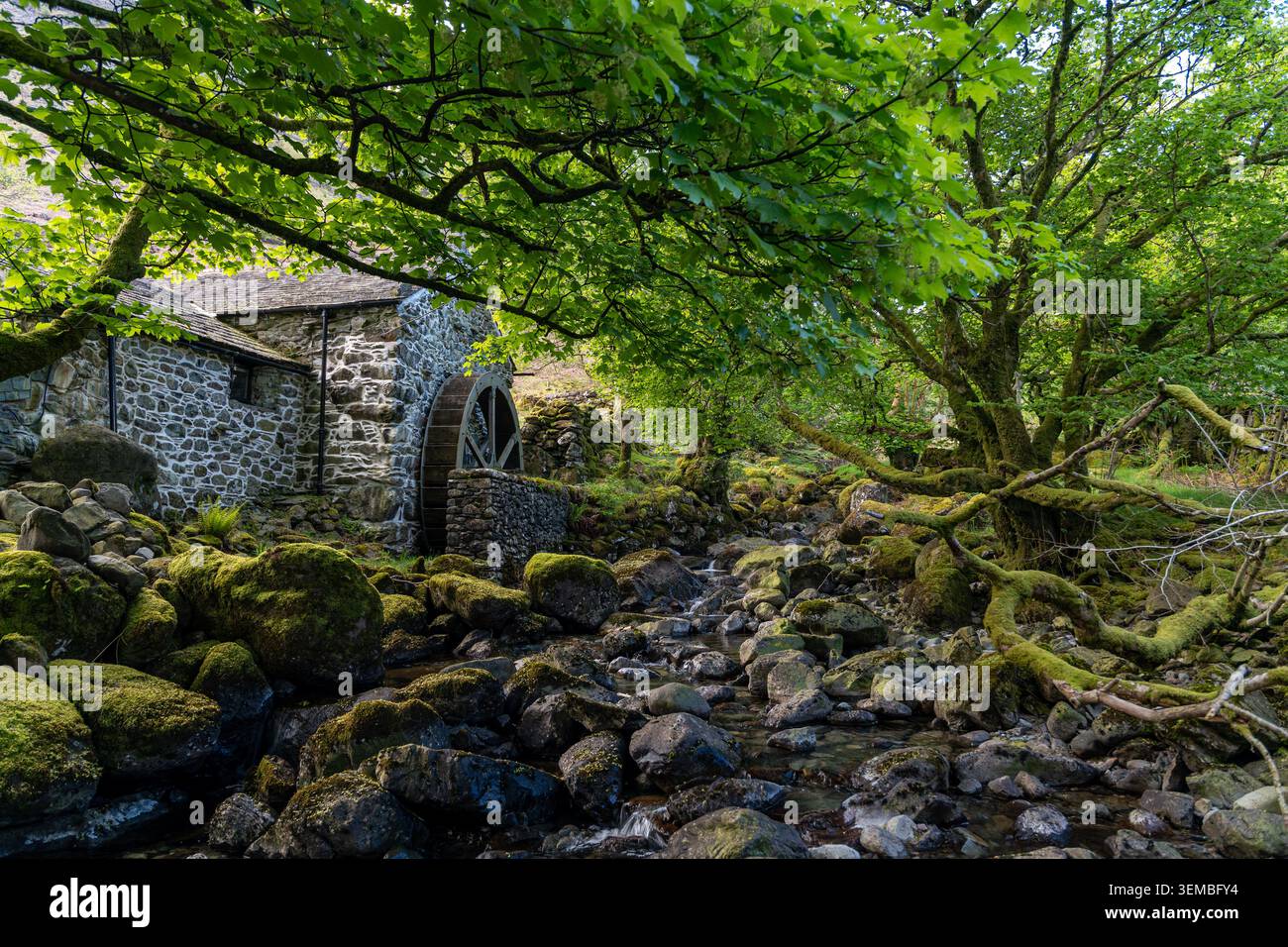 Antico mulino ad acqua vicino a un mistico torrente nella foresta con pietre ornamentali verdi e un incantevole paesaggio fantastico da fiaba Foto Stock