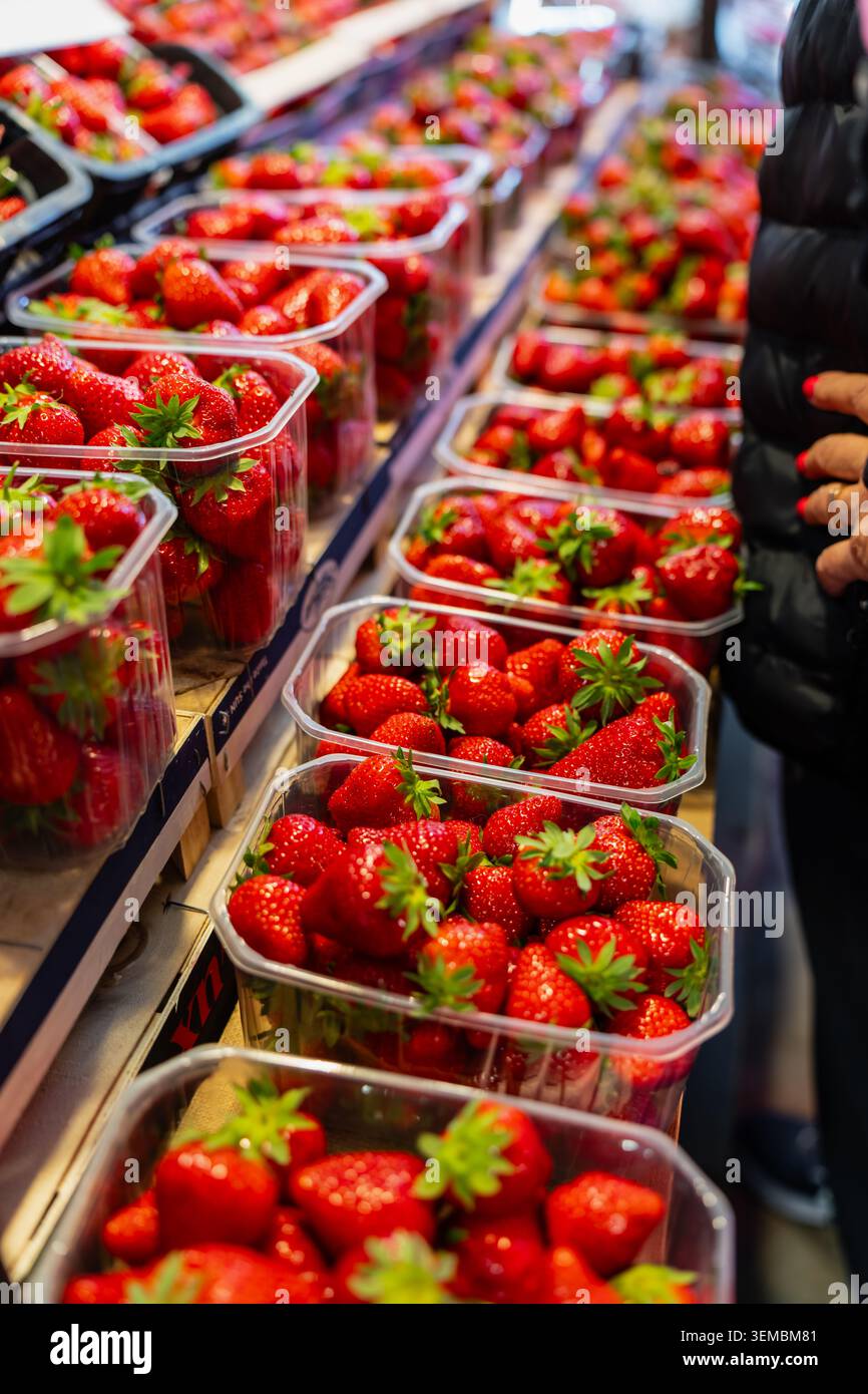 Fragole biologiche vivaci disposte in scatole chiare al banco della spesa, abitudini dei consumatori e tendenze di gestione della catena di approvvigionamento alimentare locale nel Northe Foto Stock