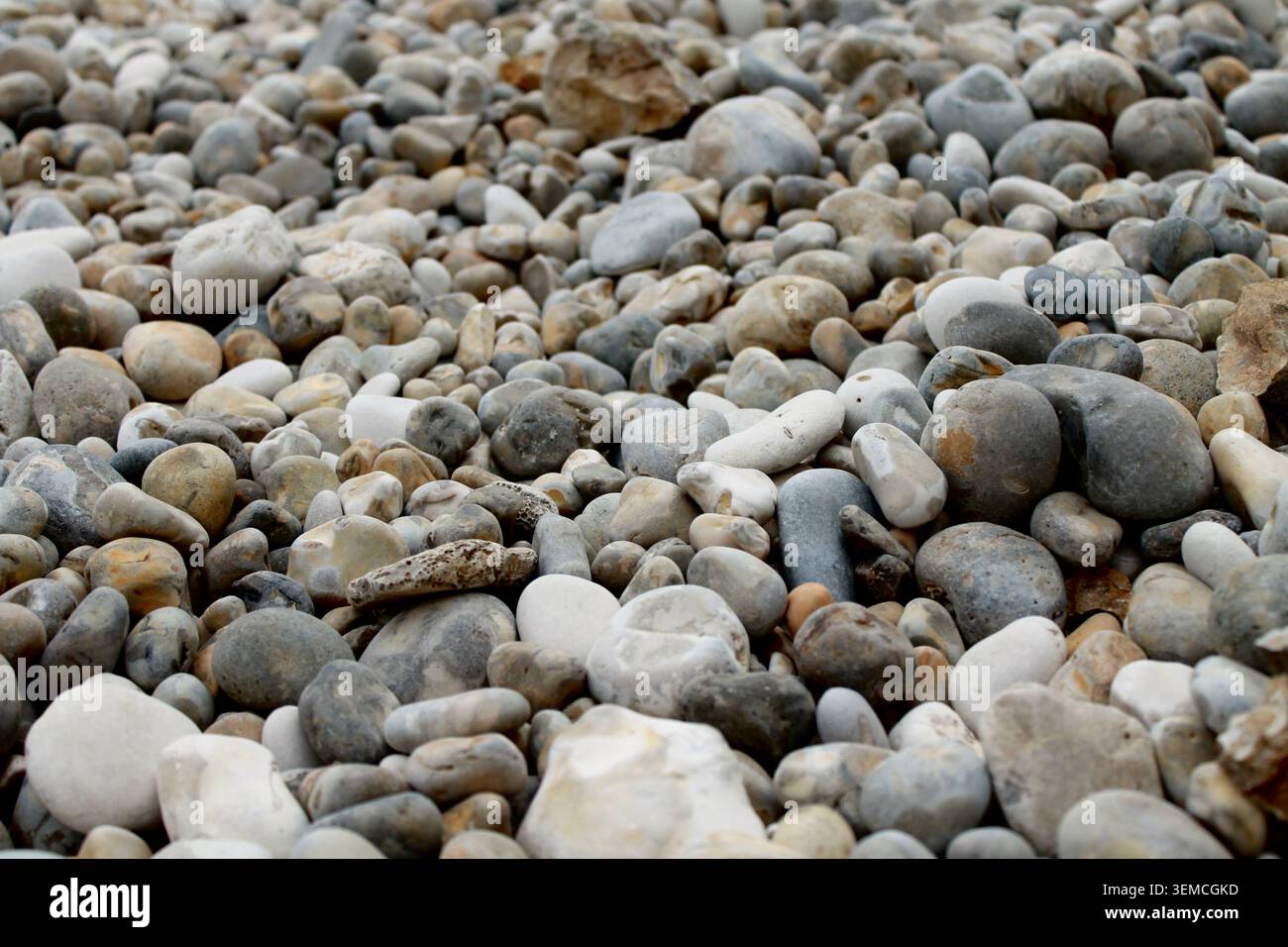 Spiaggia di ghiaia Foto Stock