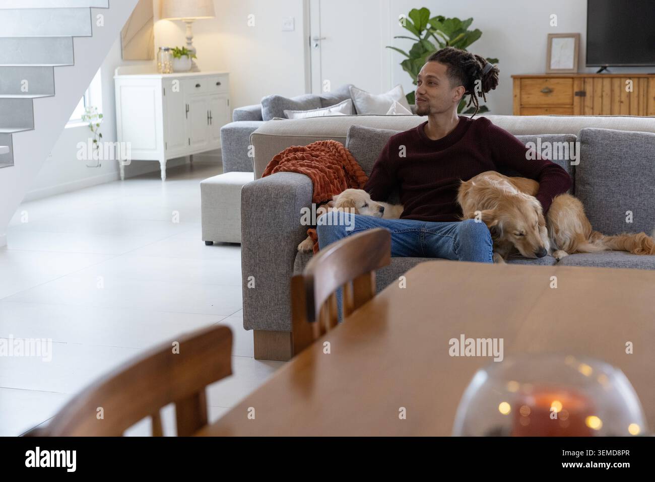 Uomo adulto seduto su un divano grigio accanto a due cani Golden retriever, lancio di ruggine, spazio fotocopie Foto Stock