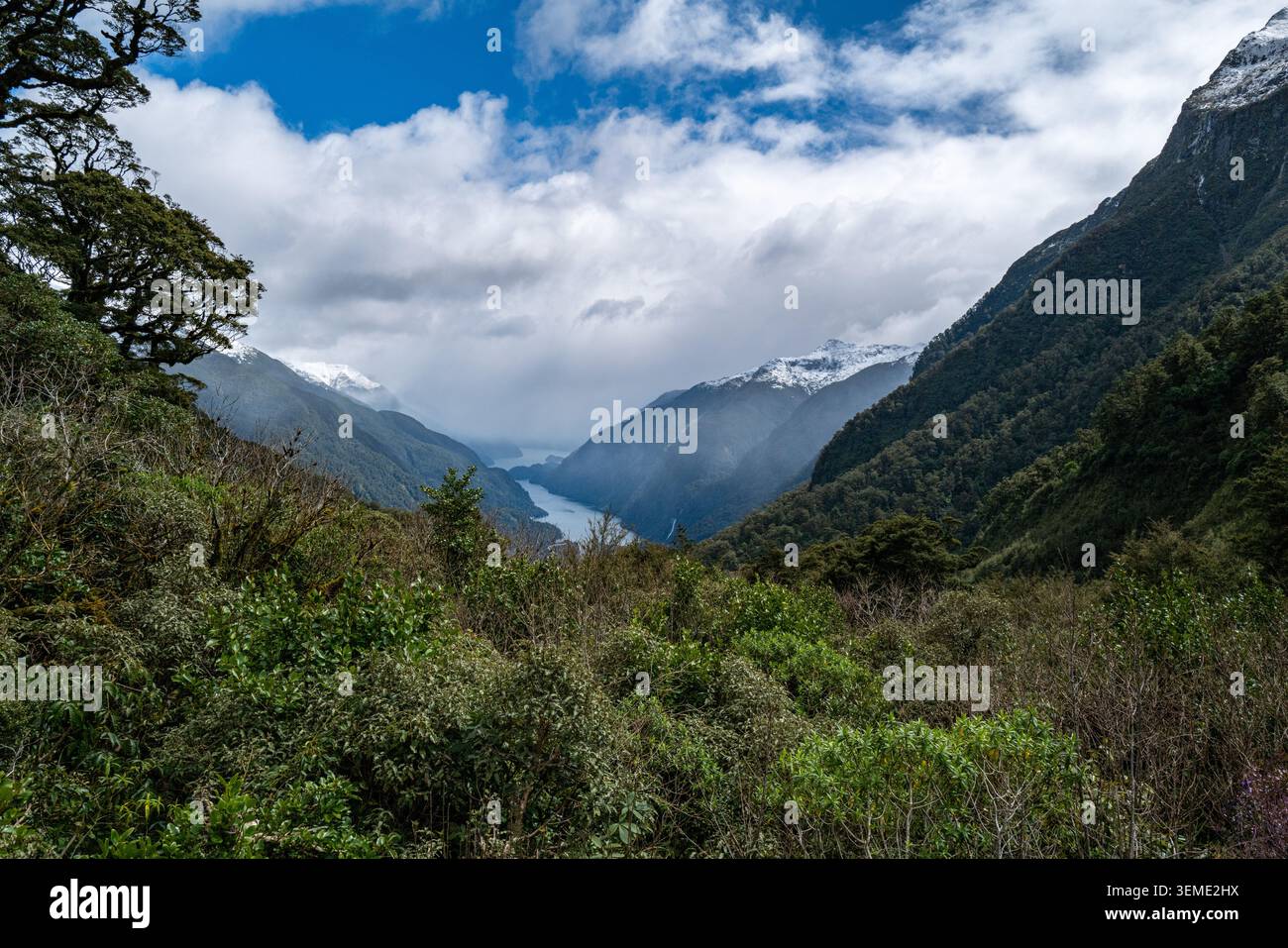Una vista panoramica ad alto angolo che guarda verso il basso negli spettacolari panorami di Doubtful Sound. Foto Stock
