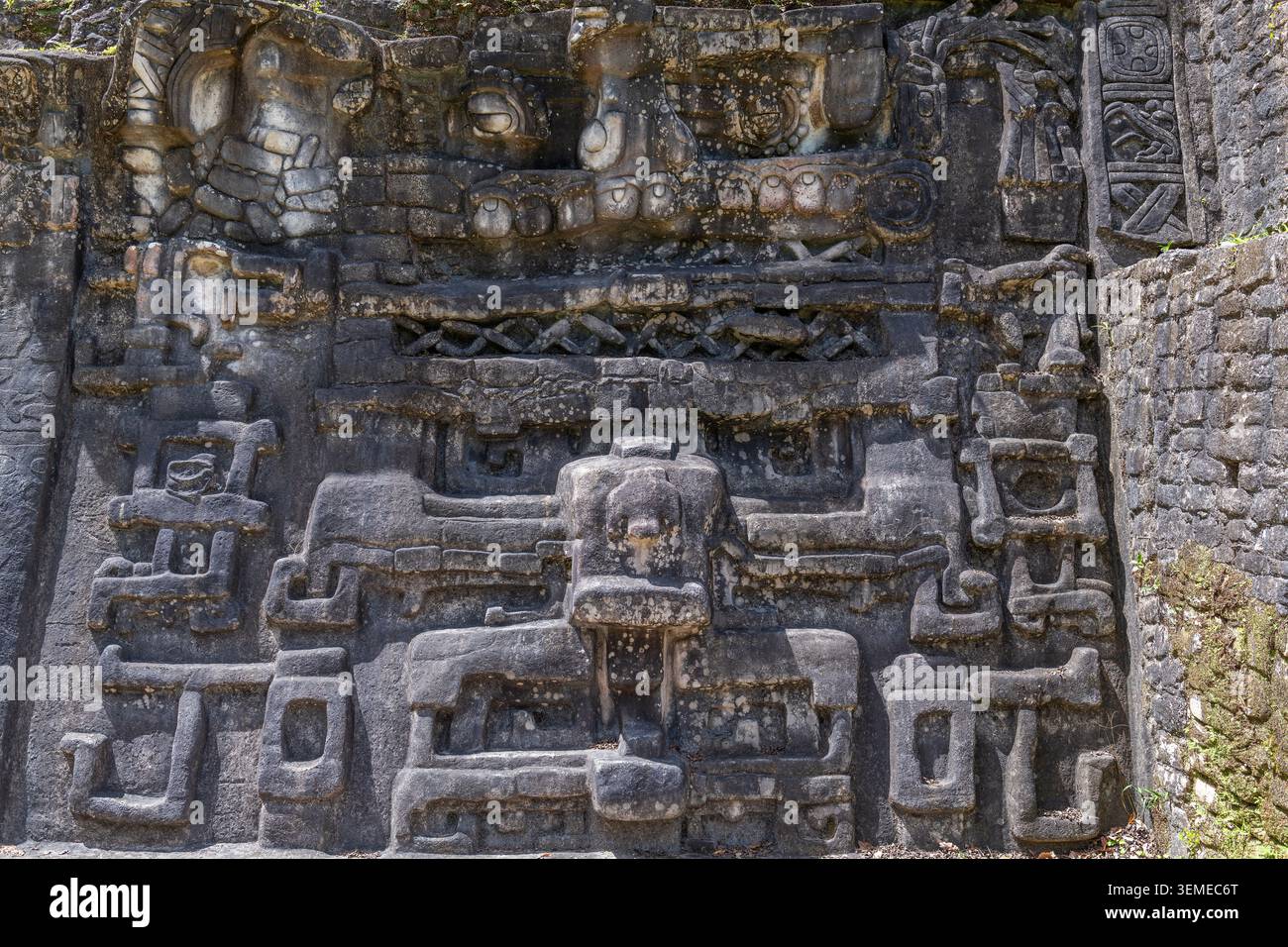 La maschera maya per serpenti gigli d'acqua a Caracol, distretto di Cayo, Belize. Foto Stock