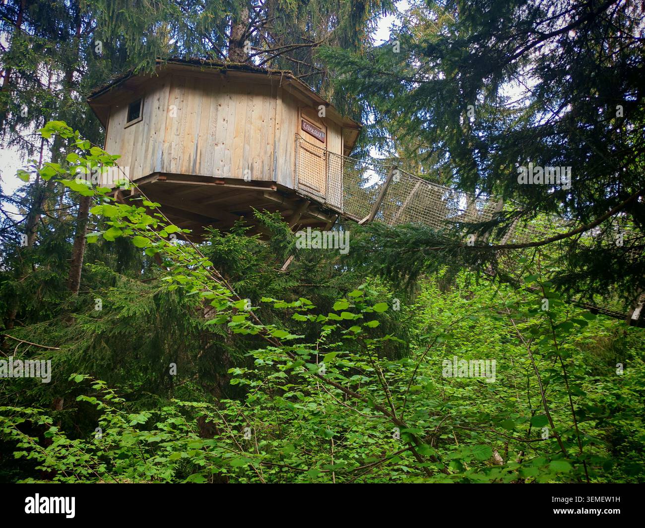 Cabina alberata in legno incastonata tra rami, un intimo rifugio estivo in natura circondato da lussureggiante vegetazione Foto Stock