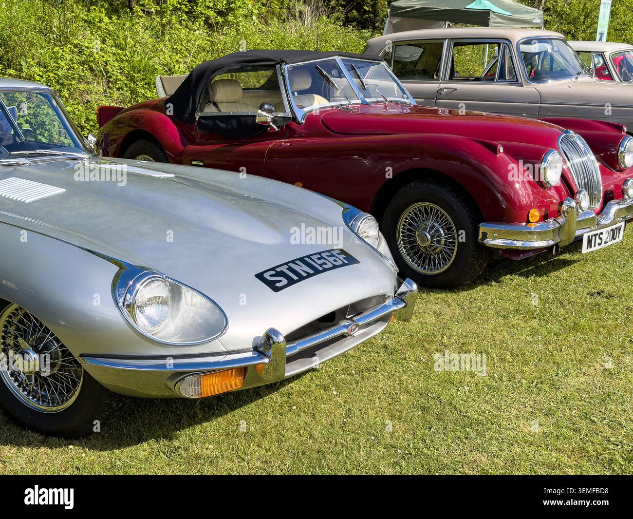 Le classiche auto sportive d'epoca Jaguar e-Type e Jaguar XK150 parcheggiate sull'erba in occasione di una mostra di veicoli all'aperto nel Regno Unito - Immagine stock catturata con smartphone