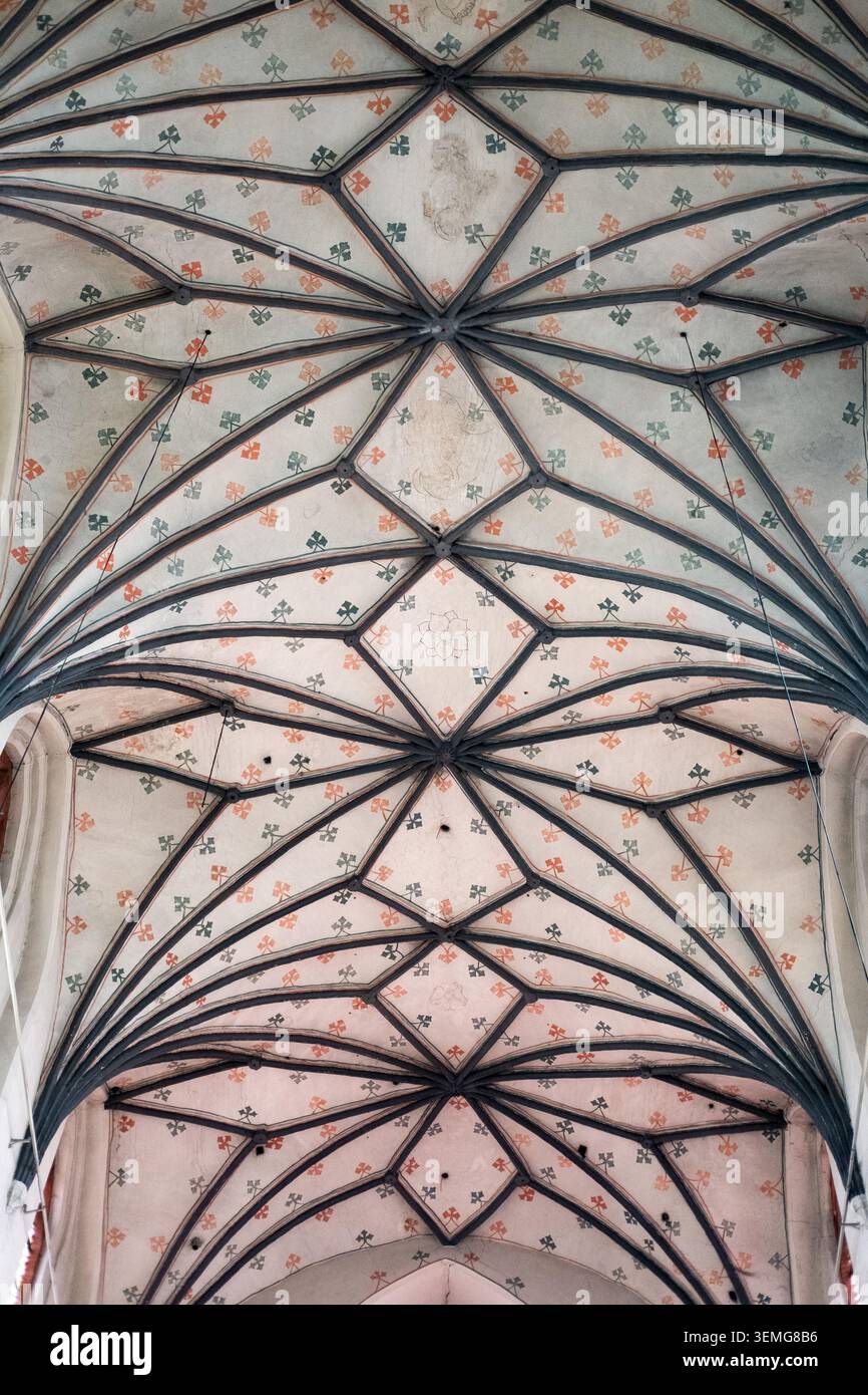 Il soffitto a volta gotico a costine espone croci floreali dipinte di rosso e verde su intonaco bianco all'interno di una chiesa storica. Foto Stock