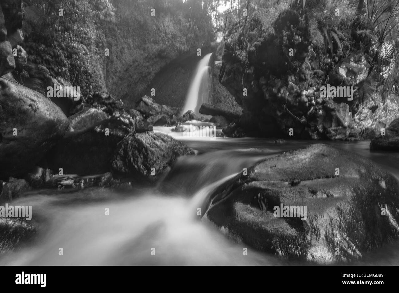 Vista aerea di una cascata nascosta nel profondo della lussureggiante foresta pluviale tropicale del Monte Daun, Indonesia. Circondato da una fitta vegetazione verde della giungla, il Foto Stock