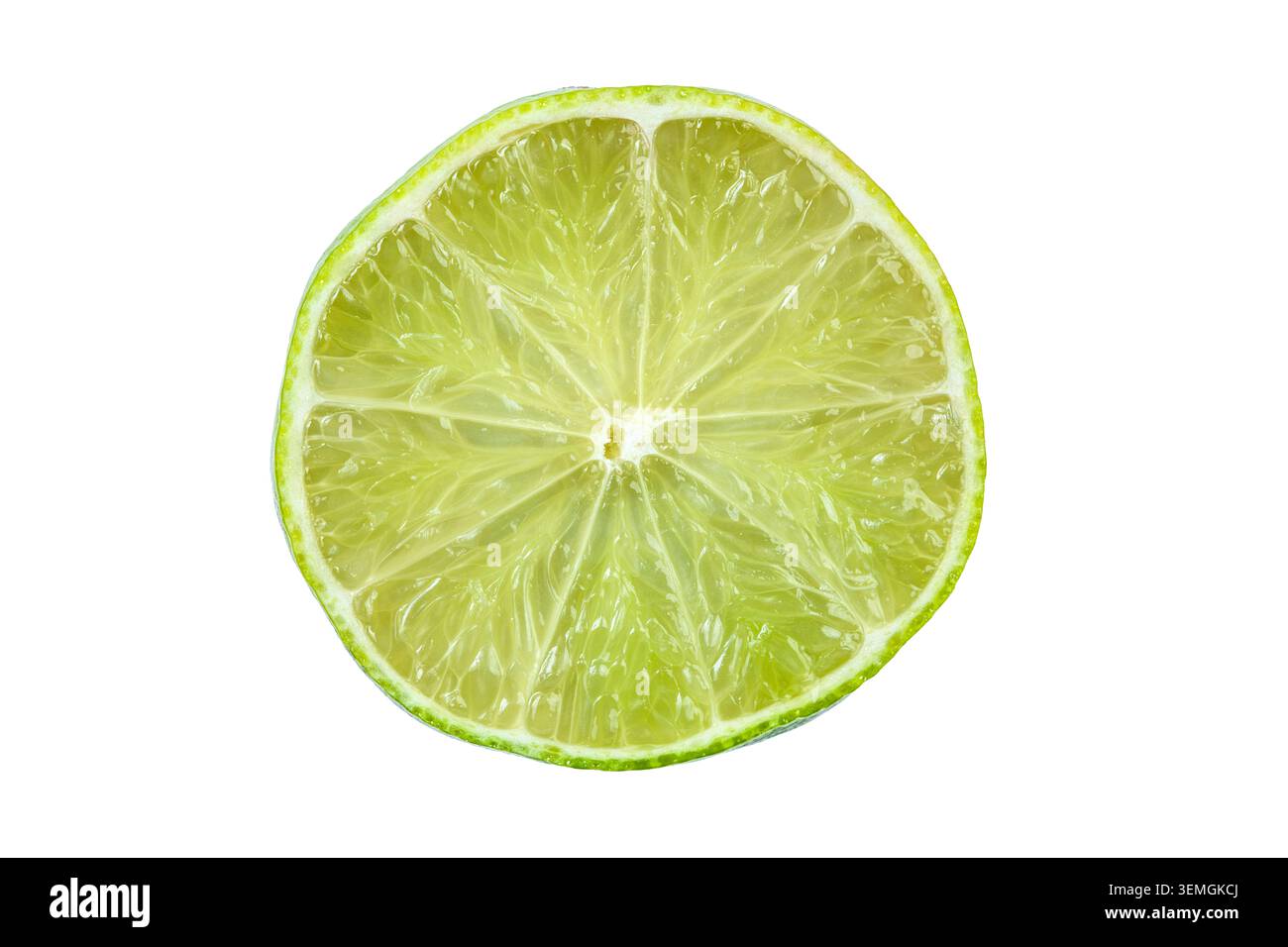 Una vista dettagliata di una singola sezione di lime, che mostra la sua texture rinfrescante e il colore verde brillante su uno sfondo bianco pulito Foto Stock