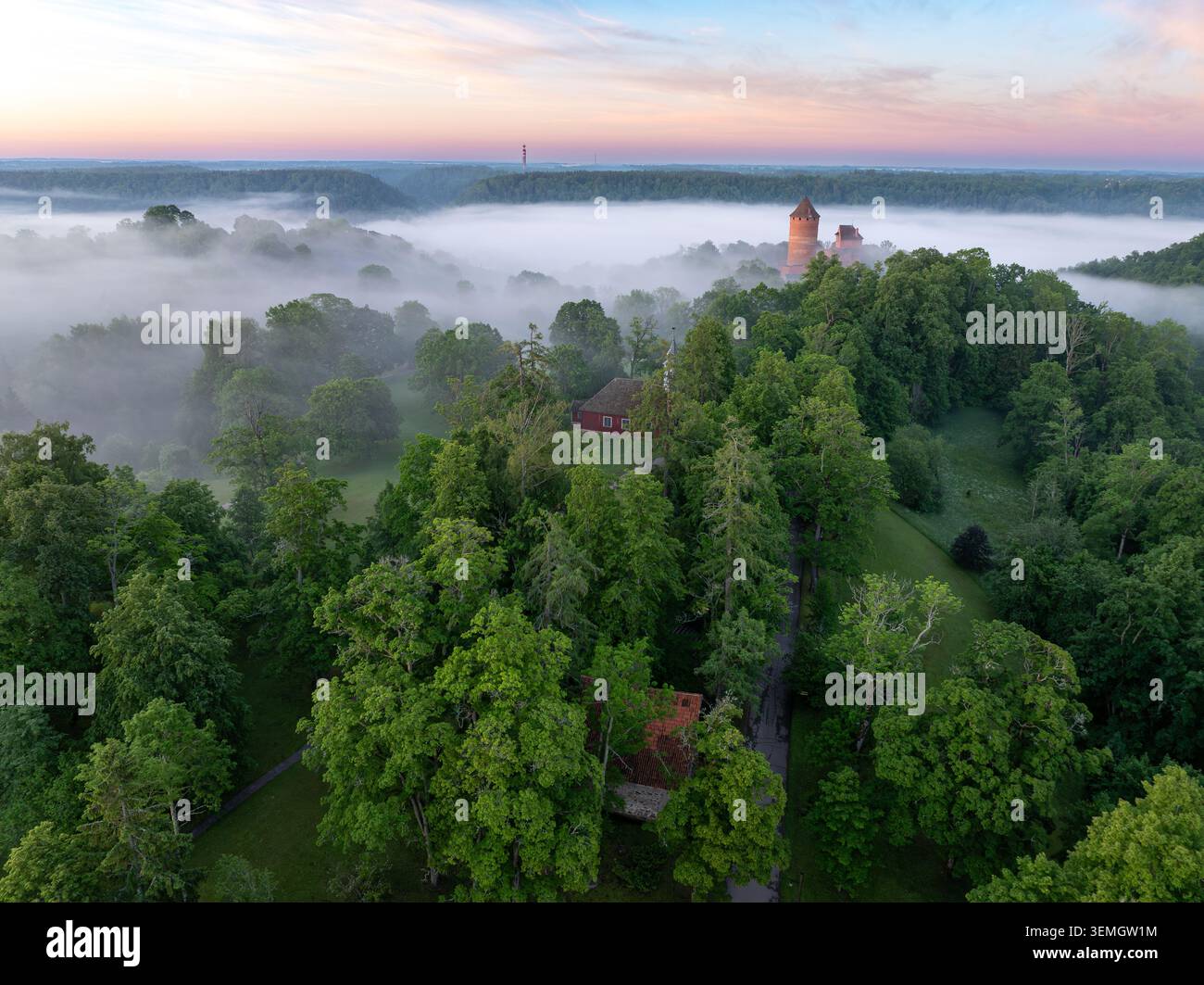 Castello di Turaida che sorge sopra la nebbia mattutina nella valle di Gauja, Lettonia - Vista aerea dell'alba Foto Stock