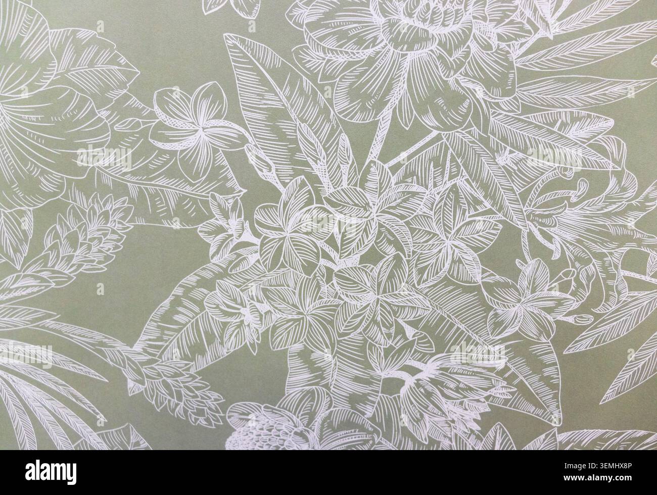 Elegante texture minimalista per illustrazioni Plumeria e foglie per arredare la casa Foto Stock
