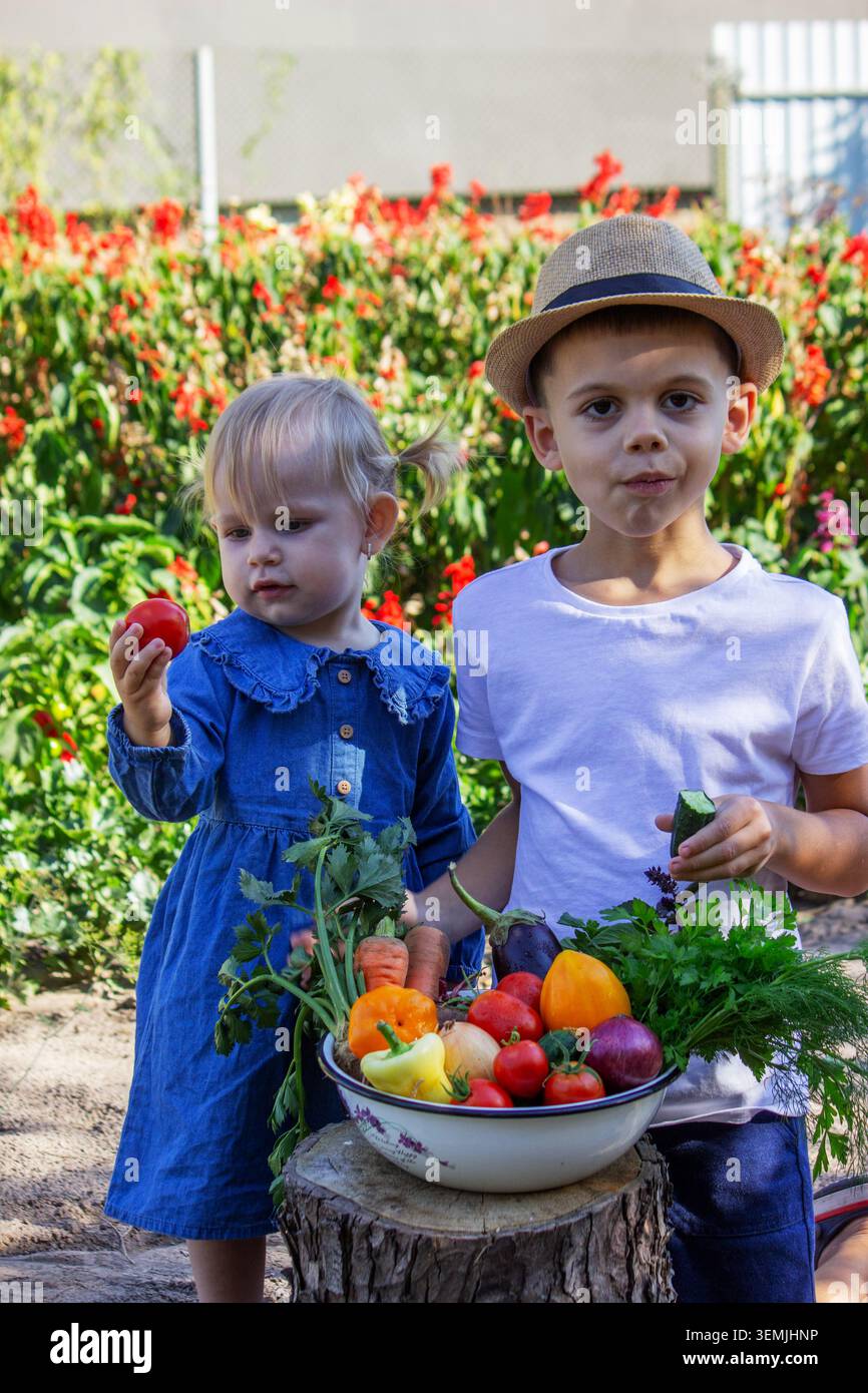 Simpatici fratelli e sorelle con un cesto di verdure biologiche fresche in giardino. Foto Stock