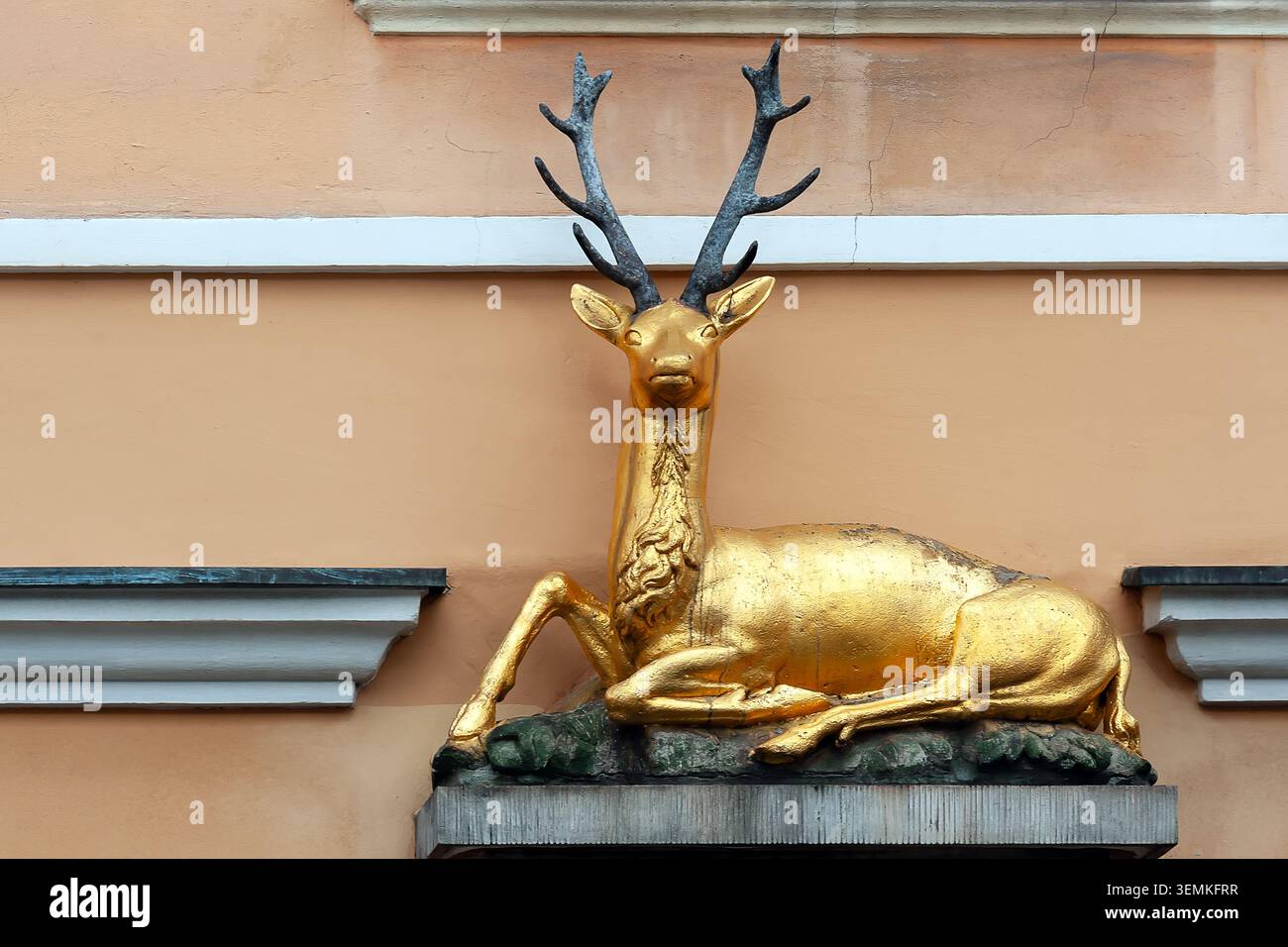Cervo dorato sulla facciata del vecchio edificio a Breslavia, Polonia Foto Stock