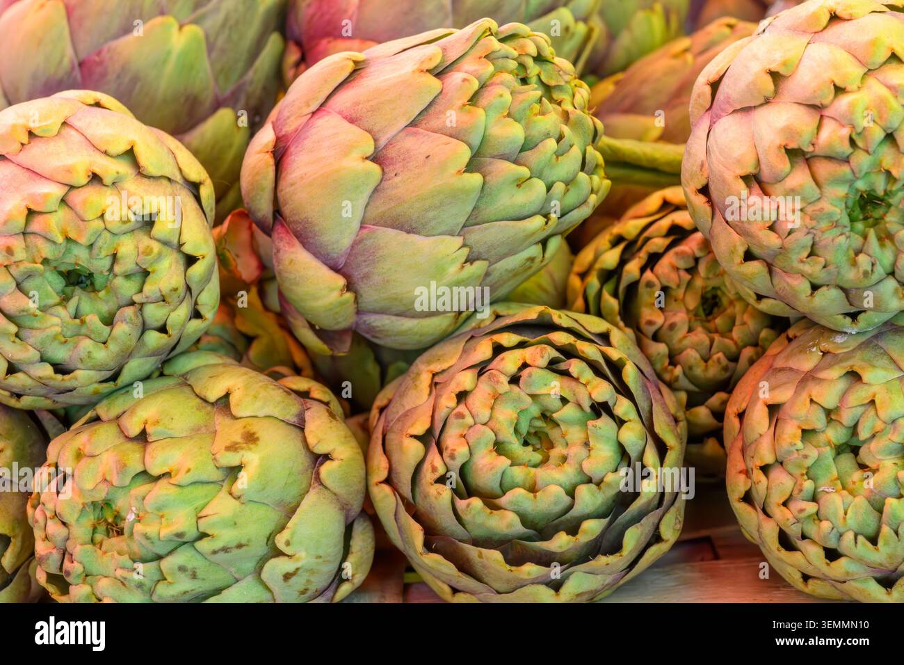Carciofi freschi al mercato centrale nella città vecchia, Traù, Croazia. Foto Stock