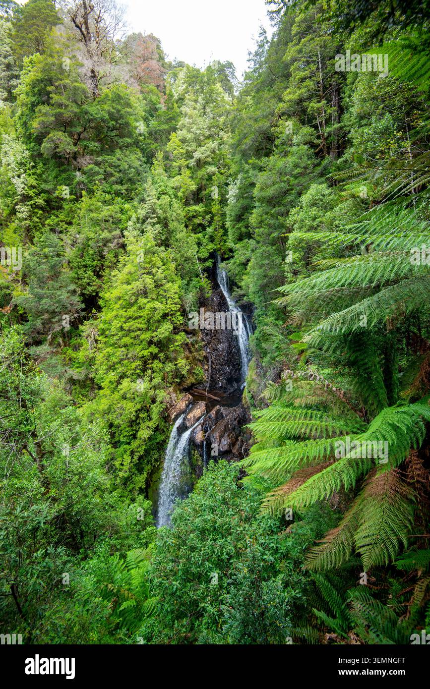Cascate Philosopher a Waratah - Tasmania Foto Stock