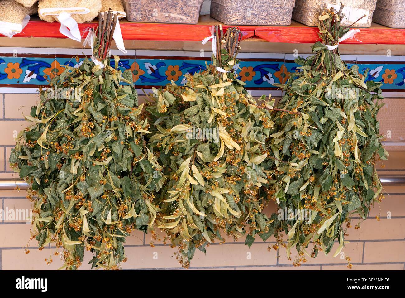 Le tradizionali ginestre secche della sauna linden Banya con fiori appesi in un bazar orientale. Autentico benessere dell'Asia centrale e spa alle erbe Foto Stock