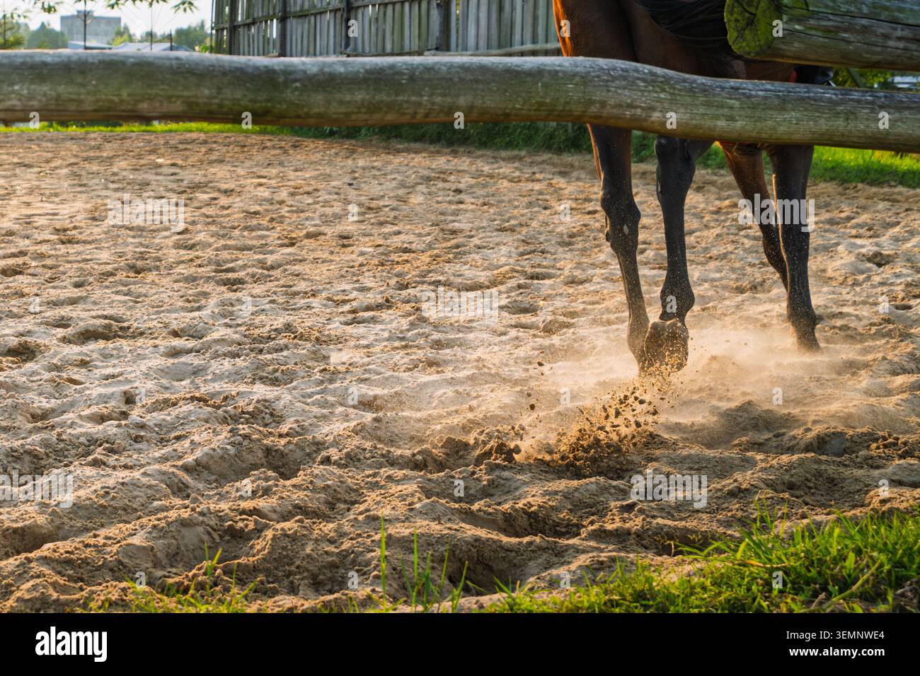 Un'angolazione bassa e dettagliata di zoccoli e zoccoli di un cavallo in movimento, che gettano sabbia e polvere in un'arena all'aperto. Foto Stock