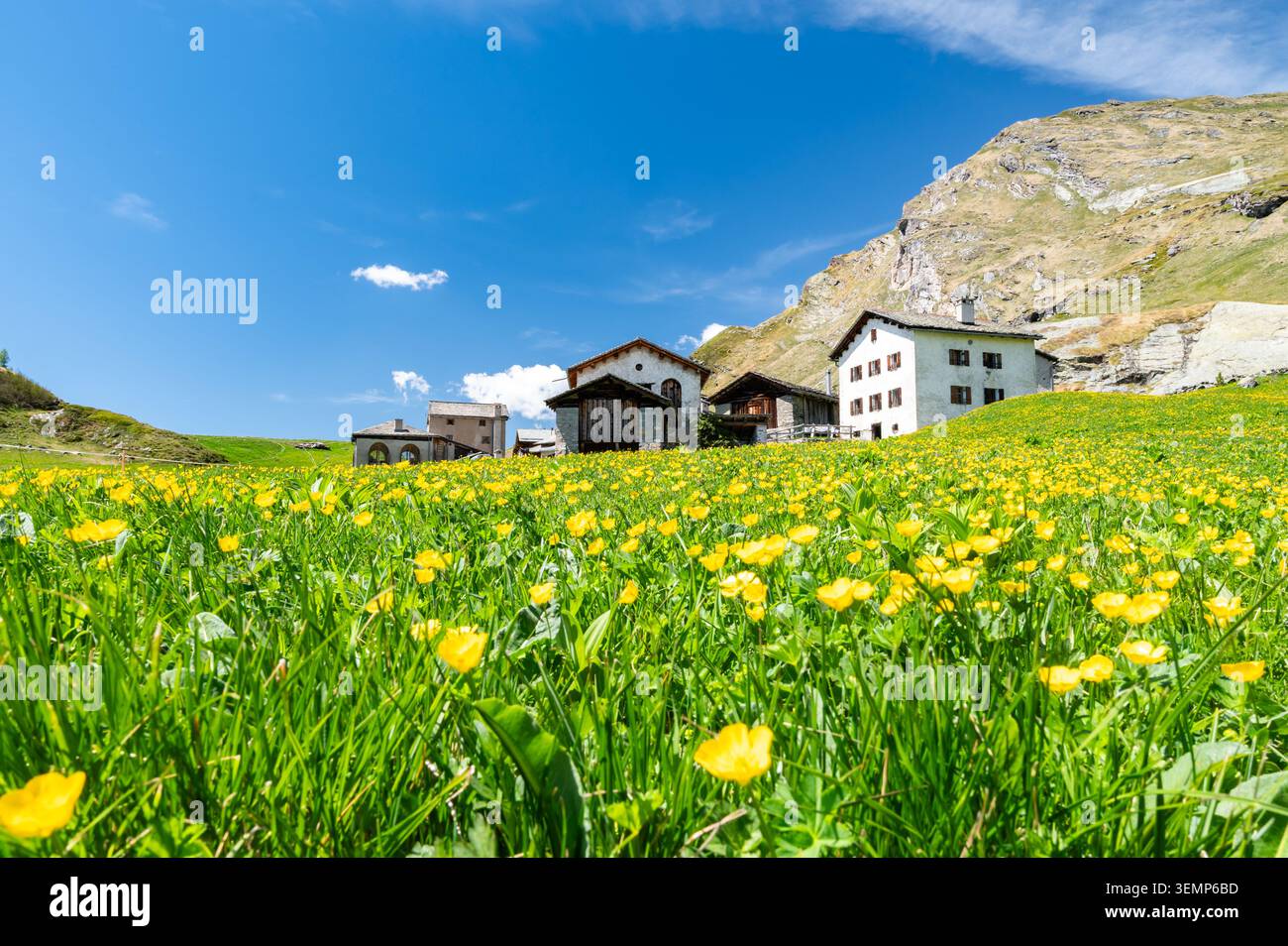 Vista panoramica dell'Engadina, del lago di Sils e del villaggio di Blaunca. Foto Stock