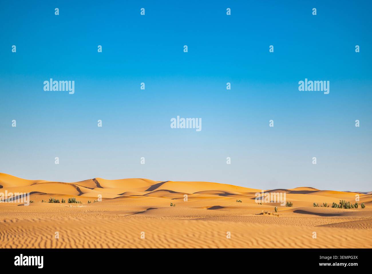 Dune di sabbia nel deserto desertico del Sahara in Marocco Foto Stock