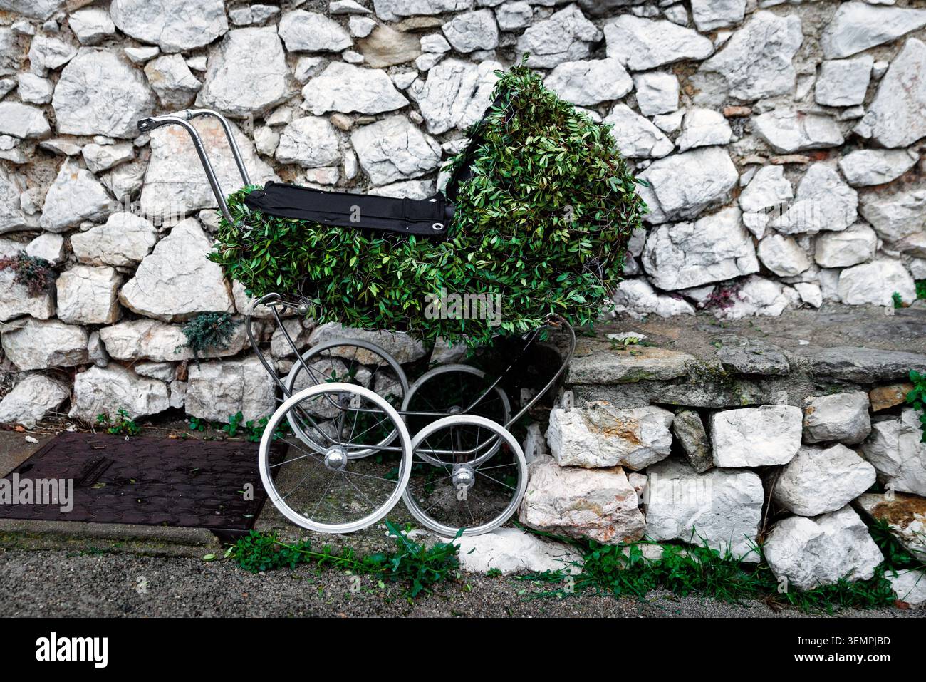 Un'ariete decorativa stravagante intrecciata con lussureggianti foglie verdi parcheggiata su un marciapiede accanto a un rustico muro di pietra. Foto Stock