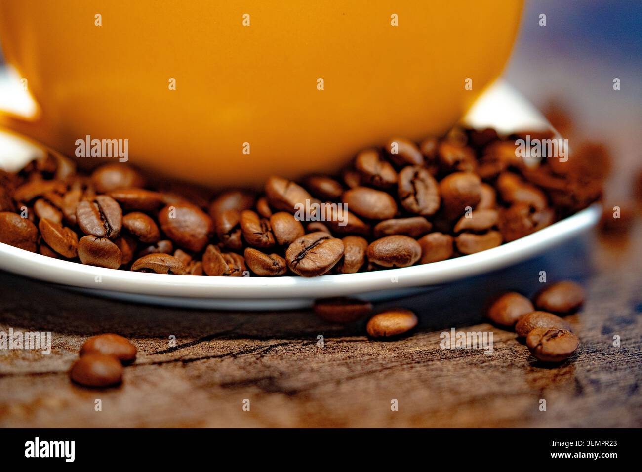 Tazza di caffè e chicchi di caffè su un piatto bianco. sfondo scuro Foto Stock