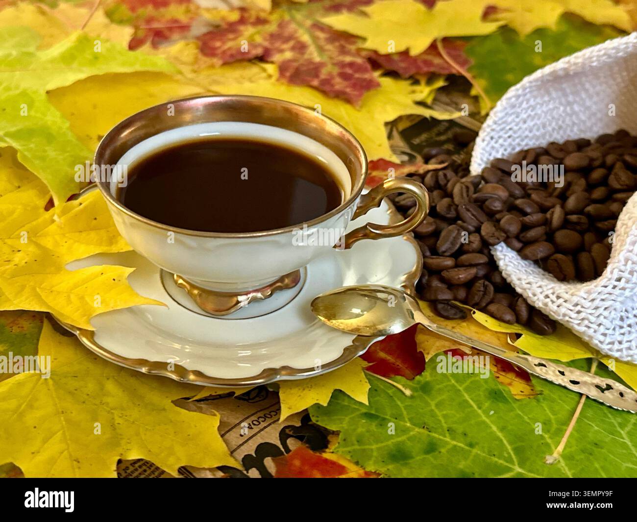 Caffè nero in una tazza vintage con un cucchiaio argentato placcato oro su un piattino e chicchi di caffè naturali su uno sfondo di foglie d'acero autunnali Foto Stock
