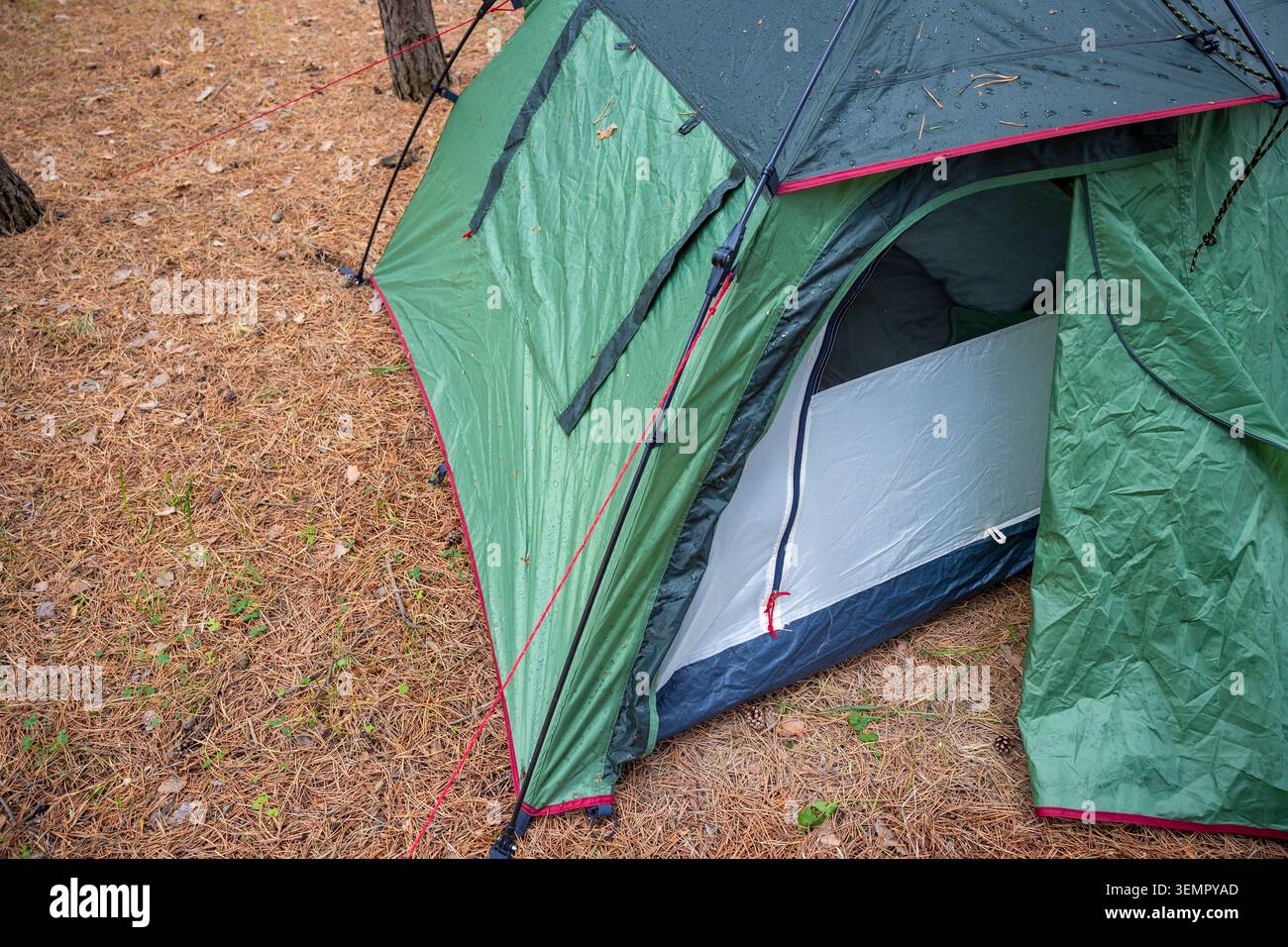 Tenda da campeggio verde con porta d'ingresso aperta su una foresta di pini. Concetto: Interno del campeggio Foto Stock