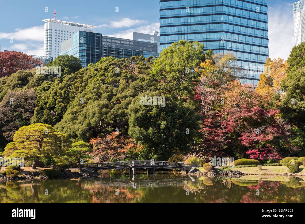 Il tradizionale laghetto e gli alberi verdi curati del giardino nazionale di Shinjuku Gyoen, contro grattacieli aziendali, Shinjuku, Tokyo, Giappone Foto Stock