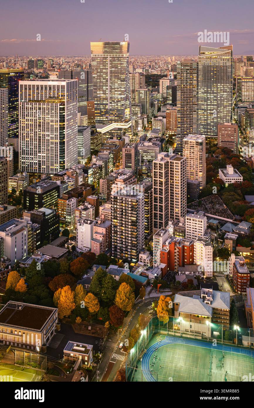 Vista verticale sopraelevata dello skyline metropolitano di Tokyo al tramonto con alberi autunnali visibili sotto i grattacieli, Giappone Foto Stock