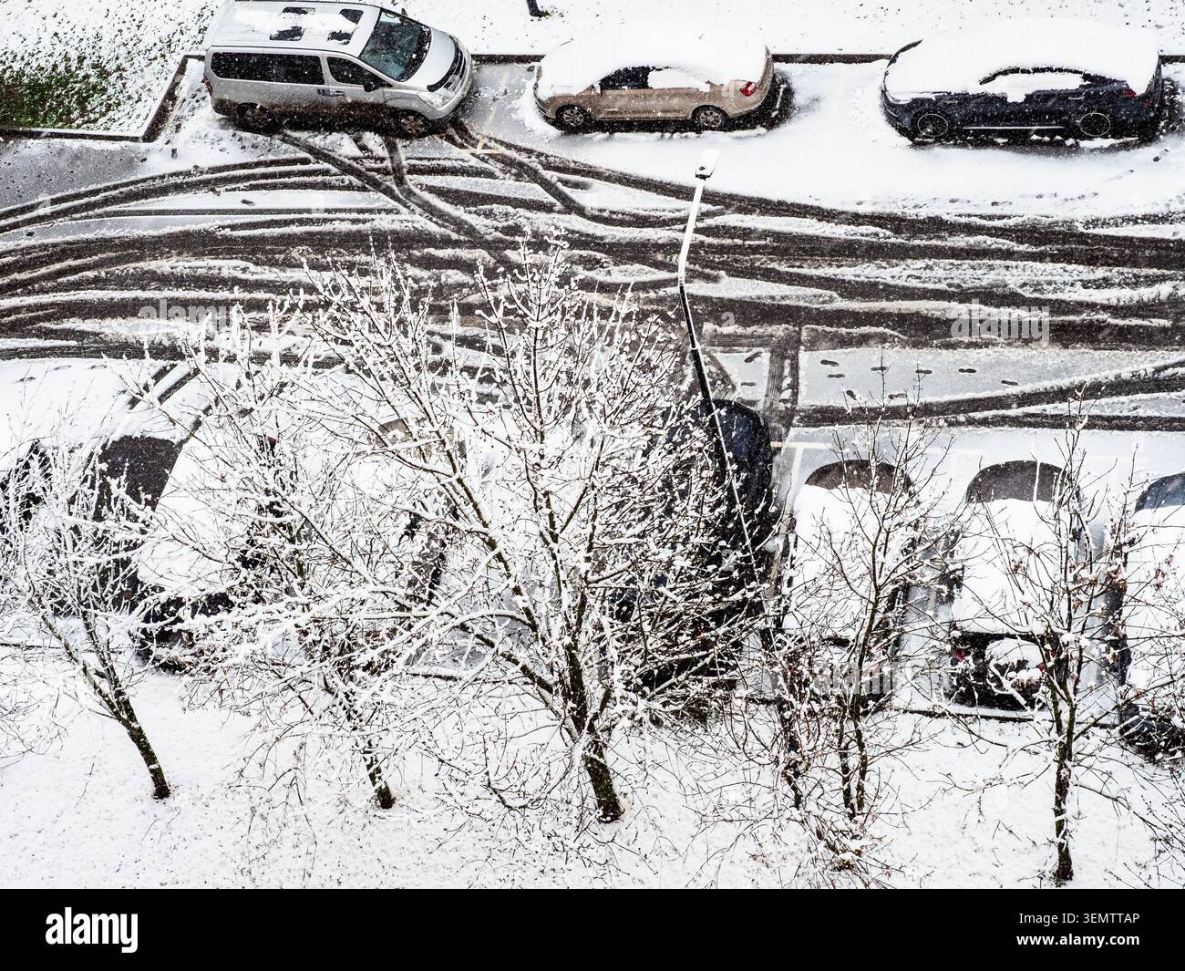 vista dall'alto degli alberi innevati e delle auto parcheggiate dopo le nevicate primaverili Foto Stock