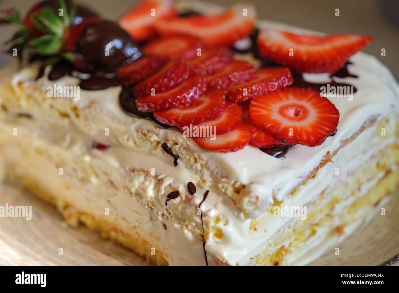 Primo piano di una torta di spugne fatta in casa con ripieno di panna, fette di fragola fresche e gocciolatine di cioccolato. Profondità di campo morbida e superficiale e W Foto Stock