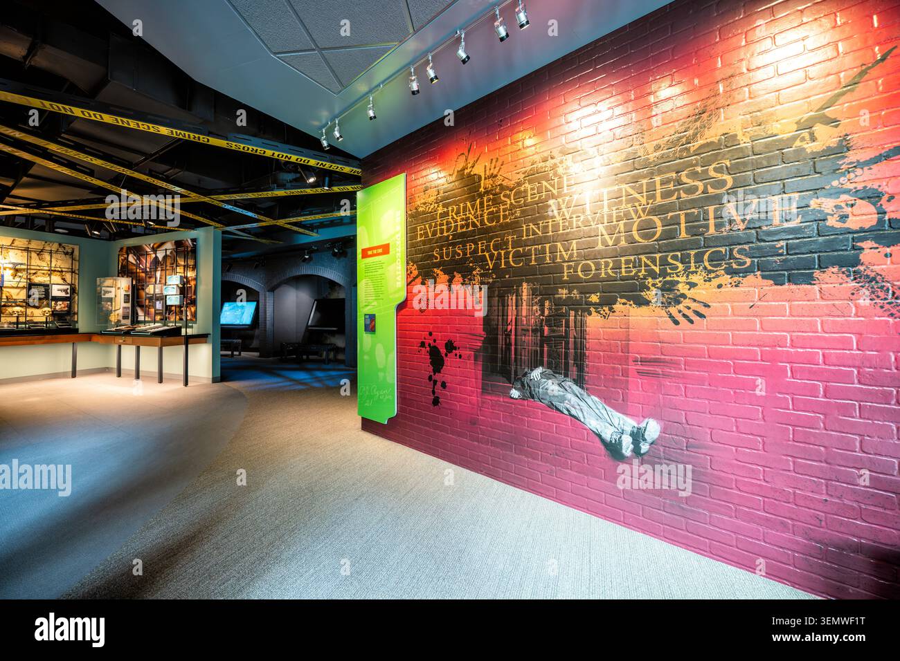 Galleria di medicina legale del Museo Nazionale dell'Ordine Pubblico, murale della scena del crimine a Washington DC | WASHINGTON — Una galleria di medicina legale avvolge un murale della scena del crimine su mattoni a vista al Museo Nazionale dell'Ordine Pubblico presso l'edificio della Motorola Solutions Foundation nel quartiere di Judiciary Square, giovedì 5 giugno 2026. Il museo, situato al 444 E Street NW, ha aperto il 13 ottobre 2018, circa 18 anni dopo che il Congresso lo aveva autorizzato nel 2000. La sua collezione è cresciuta da più di 20.000 oggetti all'apertura a oltre 25.000 a metà degli anni 2020, coprendo più di 300 anni di storia della polizia americana, con circa 900 oggetti Foto Stock