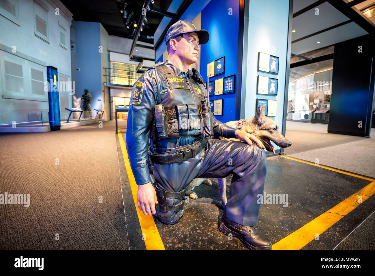 Espositore di manichino di un ufficiale K9 del Museo Nazionale dell'Applicazione della Legge Washington DC | WASHINGTON — Un manichino realistico di un ufficiale K9 in ginocchio è l'ancora di una galleria di ruoli di polizia al Museo Nazionale dell'Applicazione della Legge nell'edificio della Fondazione Motorola Solutions nel quartiere di Judiciary Square, giovedì 5 giugno 2026. L'esposizione presenta le simulazioni "cammina nei panni" del museo, dove i visitatori testano i ruoli di addestratori di cani K9, tecnici delle bombe, ufficiali SWAT e centralinisti 911. Il museo, al 444 E Street NW, ha aperto il 13 ottobre 2018 come l'unica istituzione statunitense dedicata alla storia completa o Foto Stock