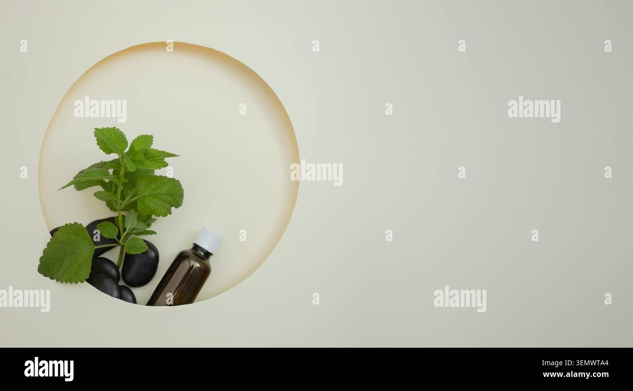 Foglie di balsamo fresco al limone e bottiglia di olio essenziale alle erbe disposte all'interno di una composizione circolare su uno sfondo leggero e minimalista con spazio di copia. Foto Stock