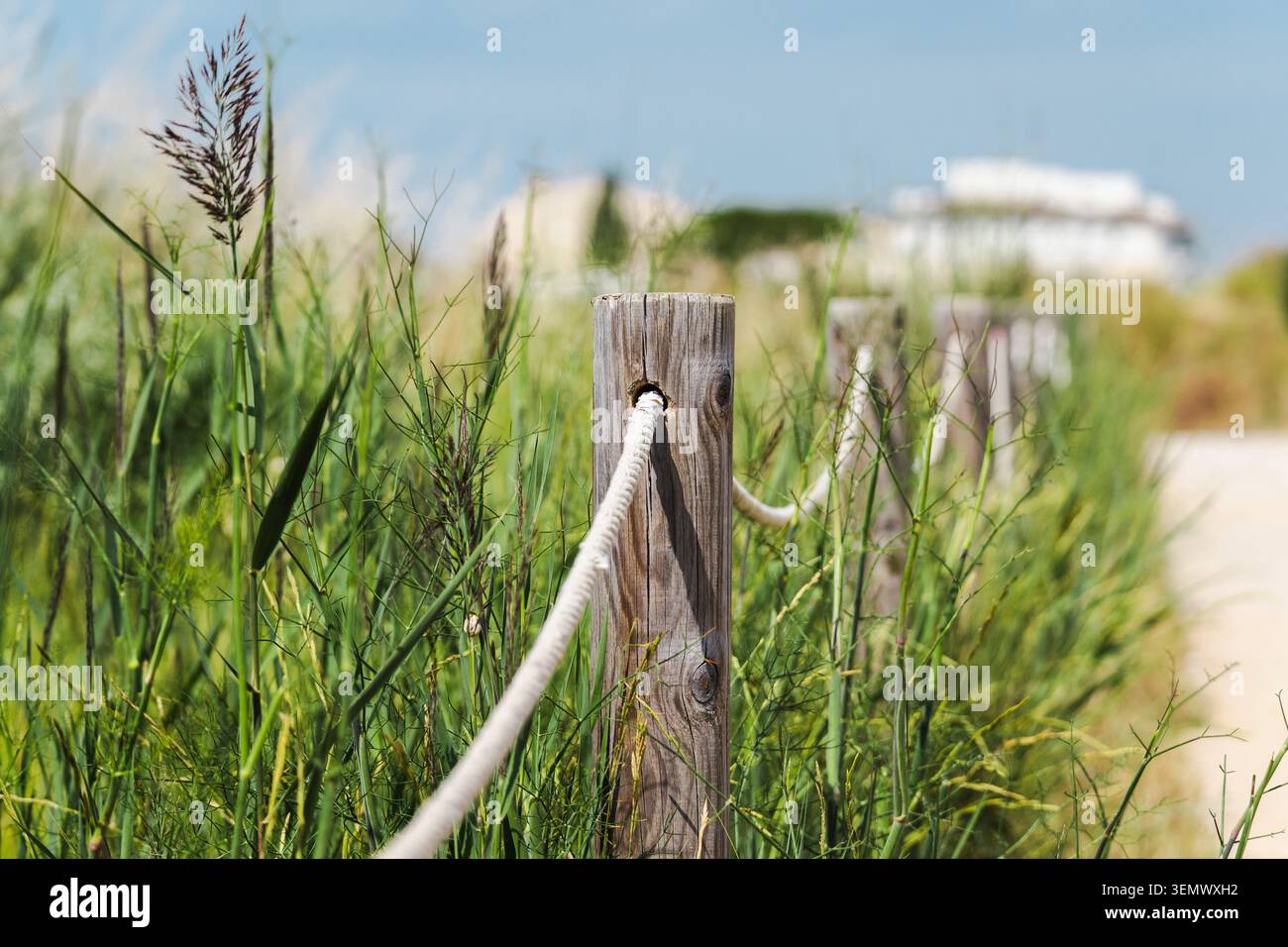 Barriera di corda in legno lungo un sentiero naturalistico nella riserva paludosa di Les Madrigueres, primo piano delle infrastrutture turistiche circondate dalla vegetazione locale Foto Stock
