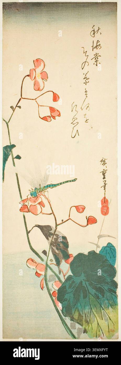 Dragonfly e Begonia di Utagawa Hiroshige, anni '1830, raffigurante piante di begonia fiorite con delicati fiori rosa e una libellula blu arroccata tra i gambi e le foglie Foto Stock
