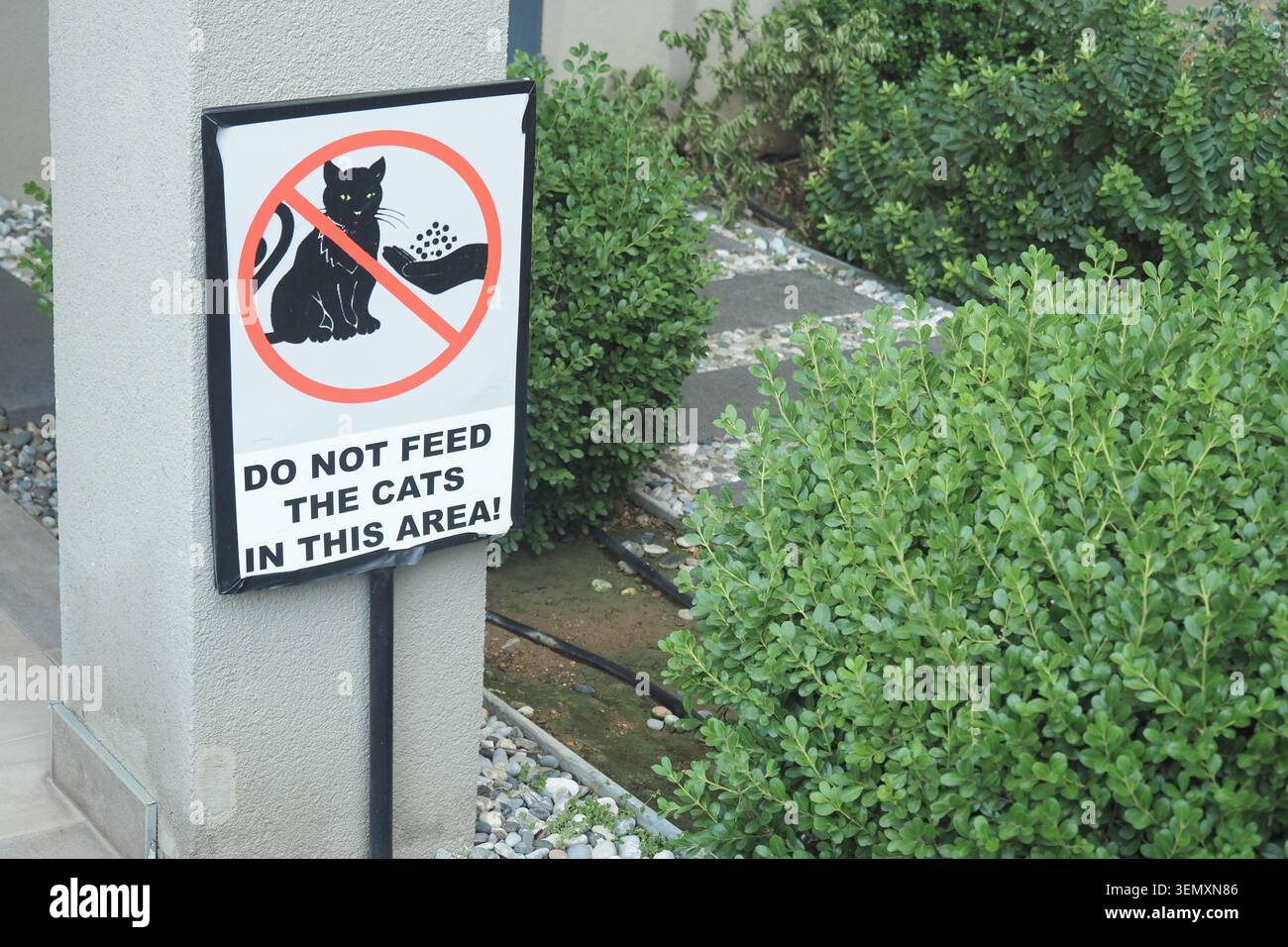 Non dare da mangiare al cartello dei gatti in un'area giardino Foto Stock