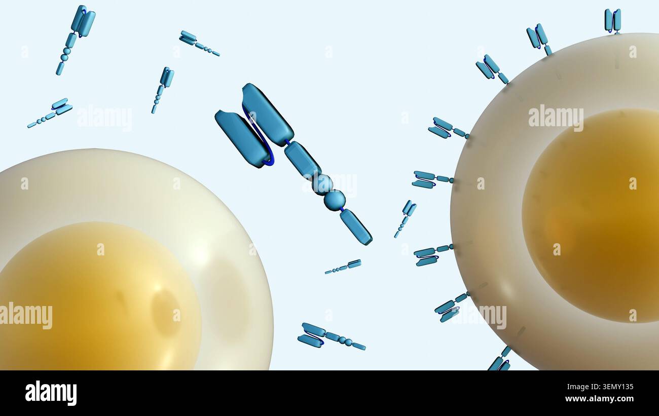 Rendering 3D della cella CAR-T come struttura sferica con una membrana esterna traslucida e un nucleo. Numerosi recettori dell'antigene chimerico a forma di Y (CAR). Foto Stock