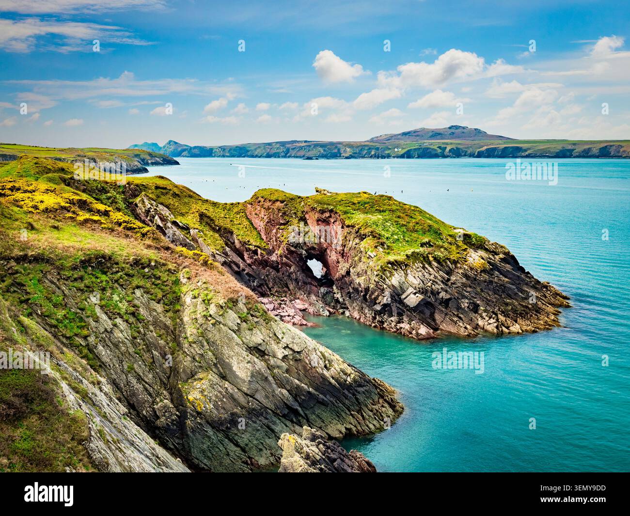 Castell Heinif, un forte promontorio dell'età del ferro sul Ramsey Sound, Pembrokeshire e arco marino Ogof Mary. Foto Stock