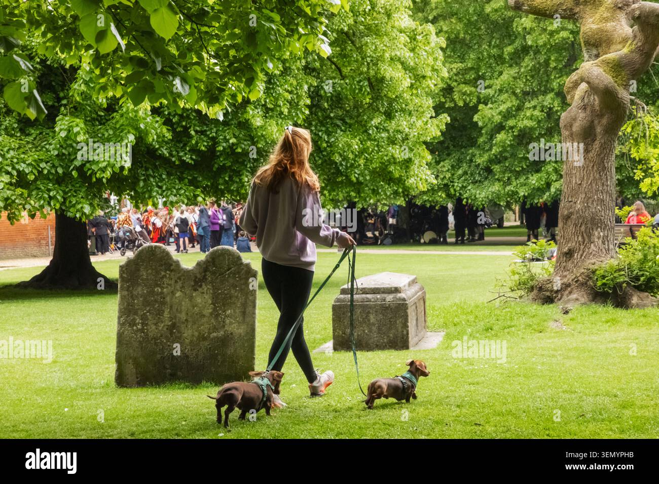 Inghilterra, Hampshire, Winchester, Girl Walking Dogs in Gounds of Winchester Cathedral Foto Stock