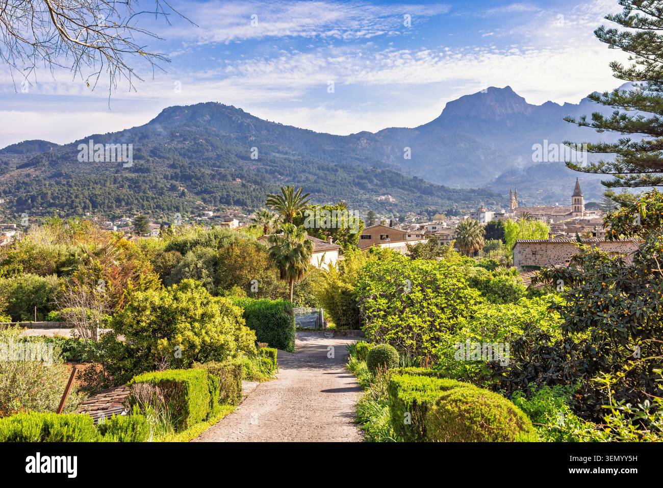 Strada sterrata in un paesaggio verde lussureggiante in una valle su alte montagne Foto Stock