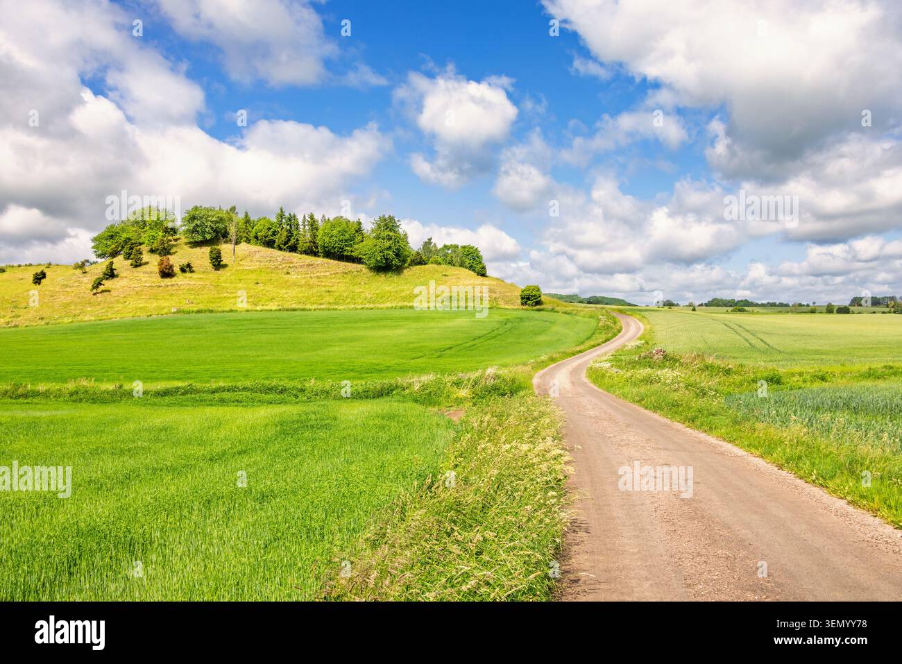 Strada tortuosa in un bellissimo paesaggio rurale in estate Foto Stock
