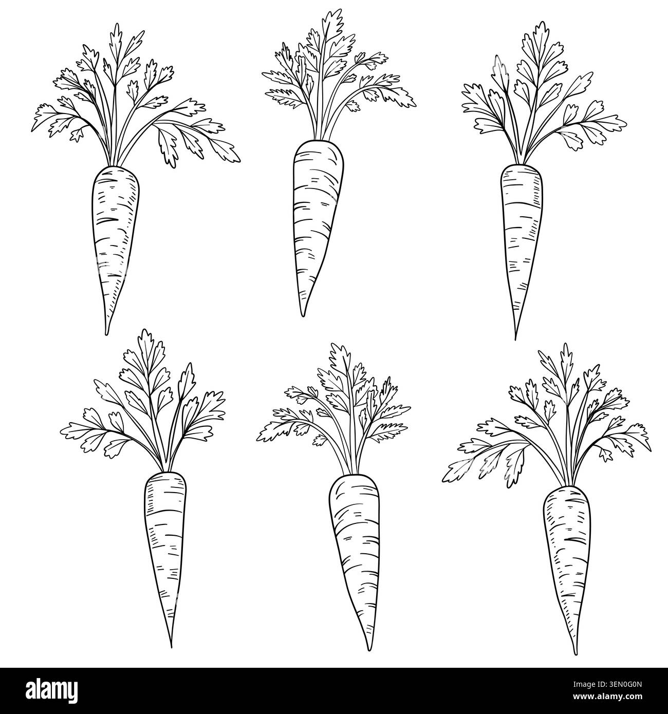 Illustrazione in bianco e nero disegnata a mano di libri di pagine colorate disegnati a carote. Arte pulita con carote fresche e frondosi verdi Foto Stock