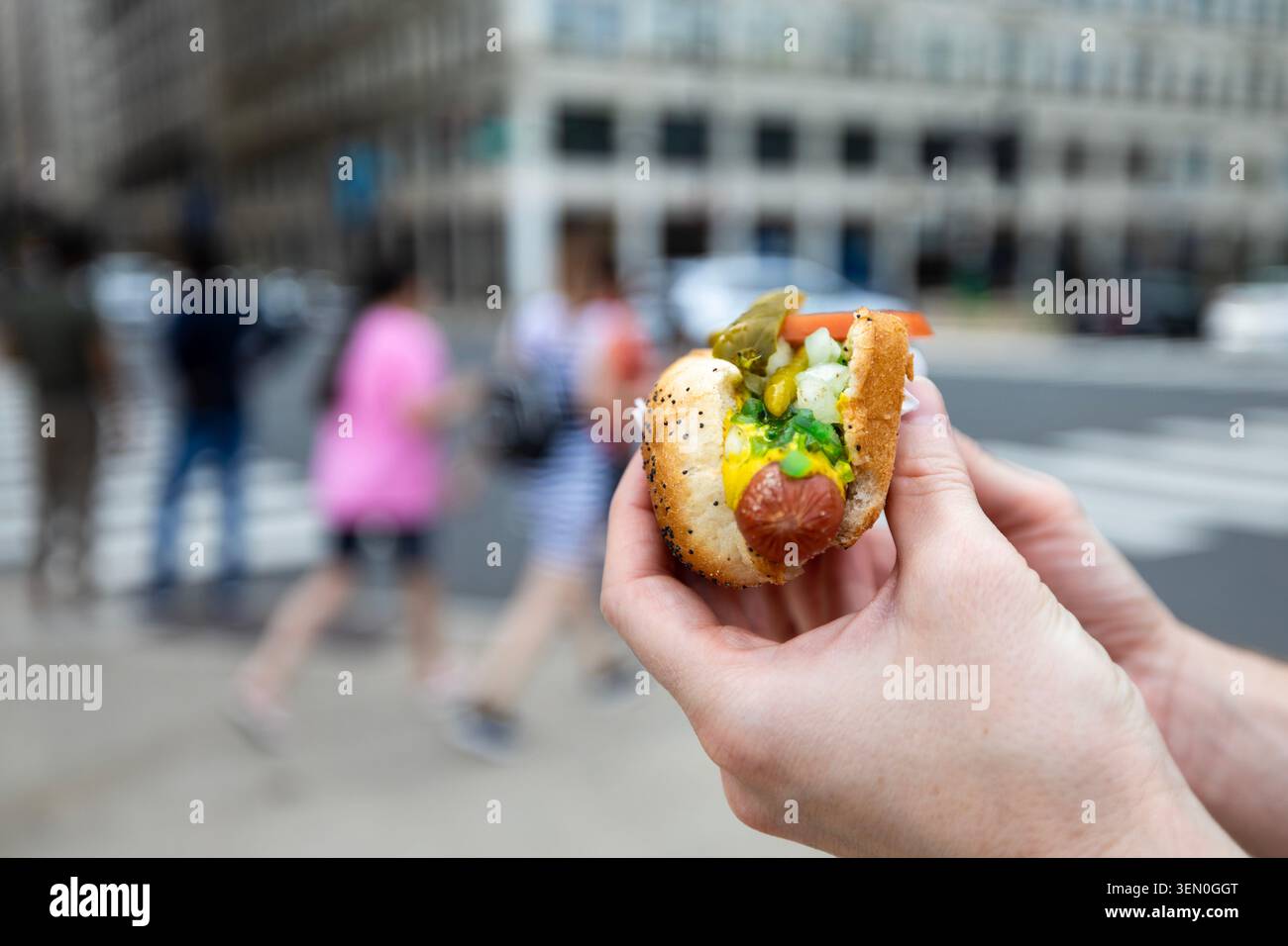 Primo piano che tiene in mano il tradizionale hot dog in stile Chicago sullo sfondo della città di strada. Fast food, cucina americana, cultura Street food e pranzo estivo Foto Stock