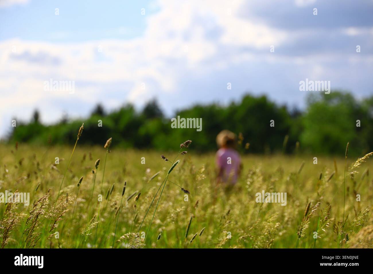 erba tagliente in primo piano con figura umana sfocata sullo sfondo Foto Stock